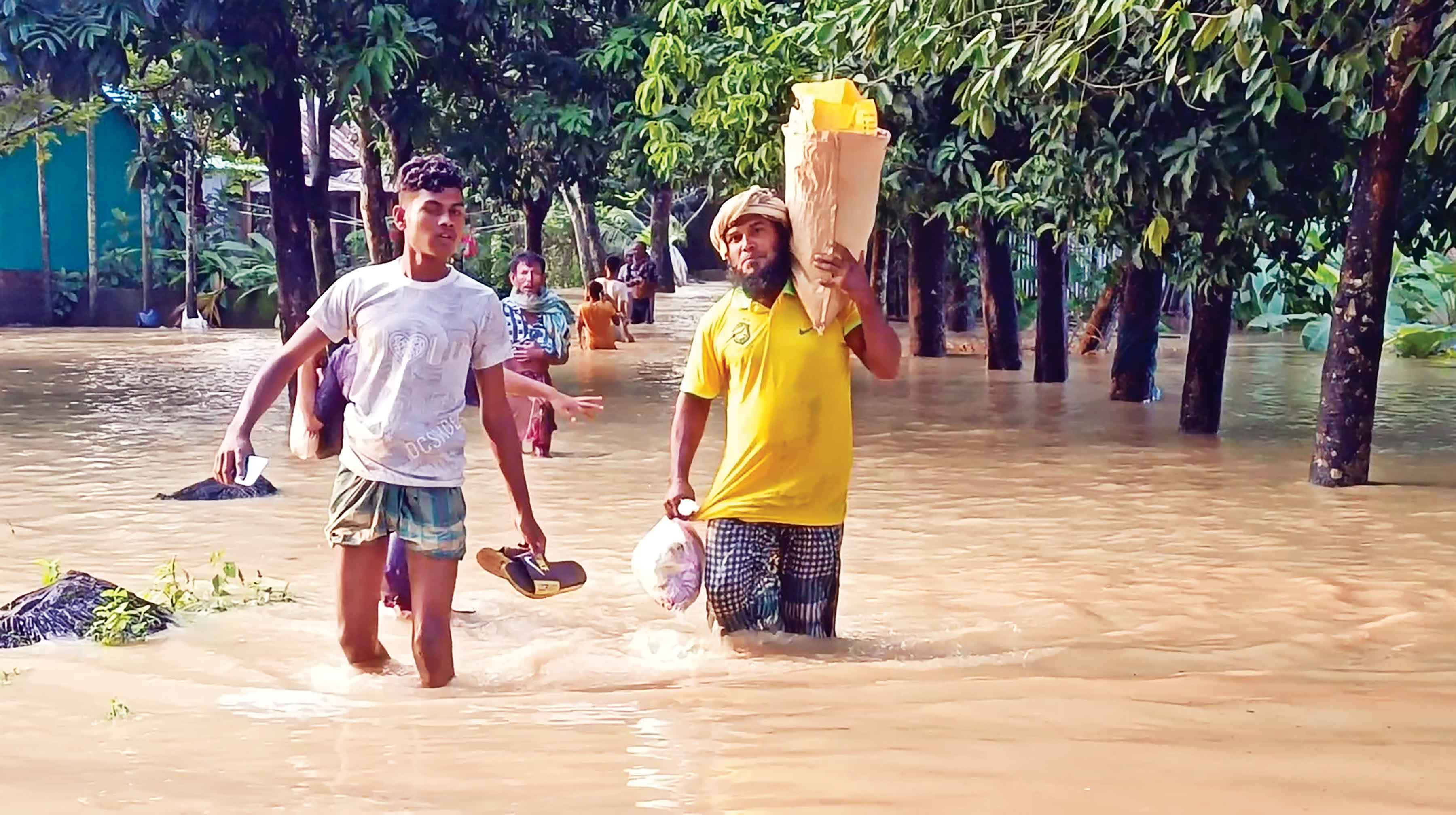ময়মনসিংহে অবনতি, শেরপুরে উন্নতি