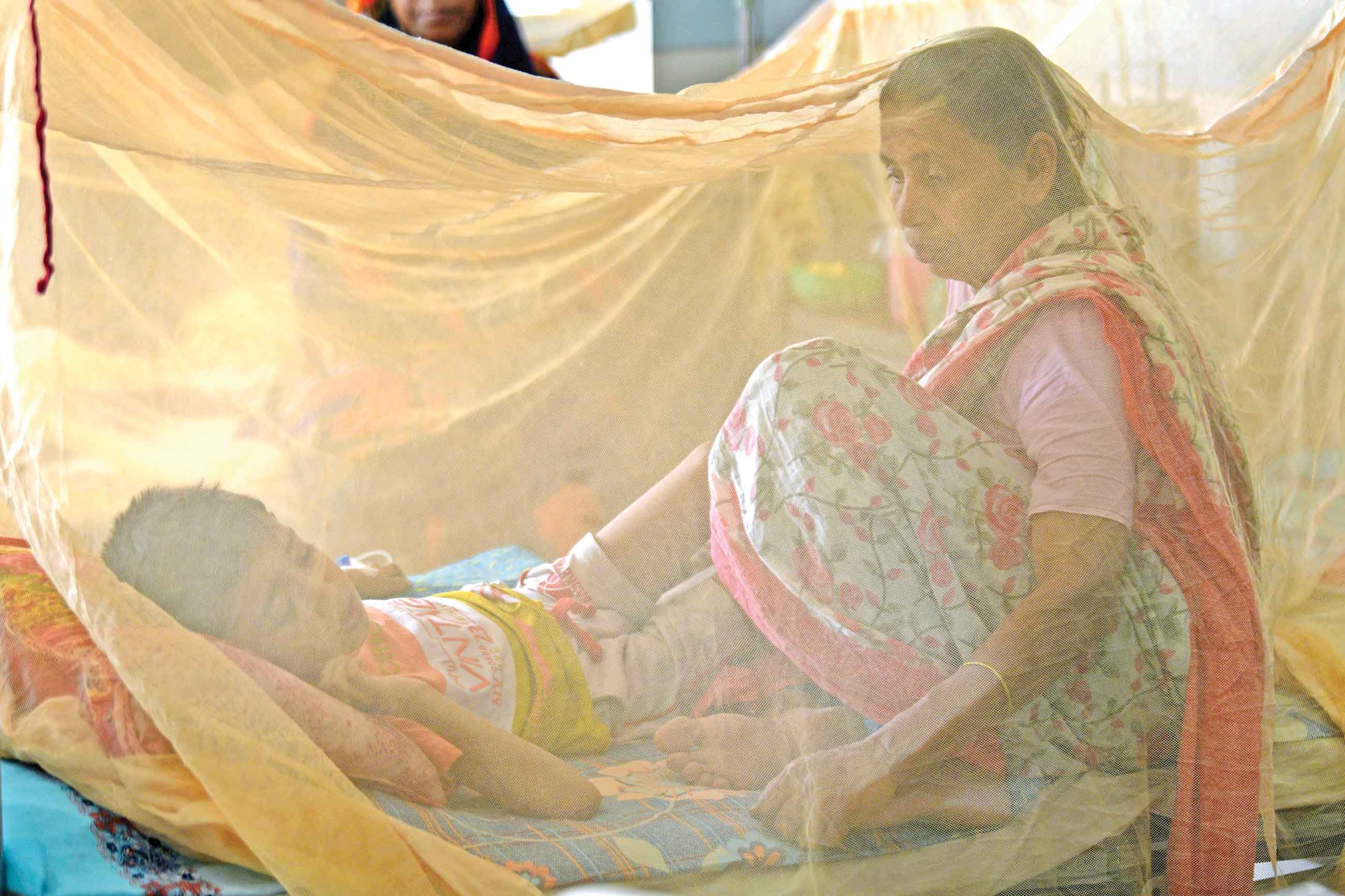 এ বছর ডেঙ্গু আক্রান্ত প্রায় ৩৮ হাজার, মৃতু্য ১৮৮
