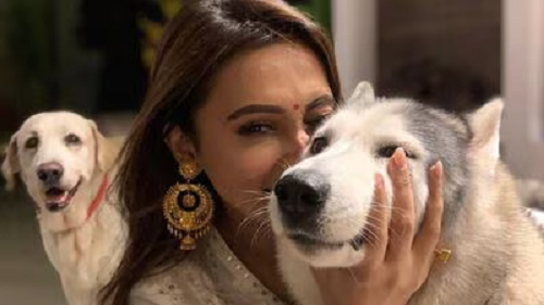 মিমি বিয়ে করবেন না, কুকুরের সঙ্গে রাত কাটান