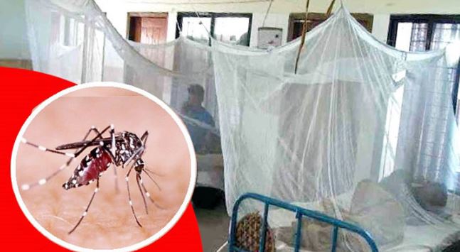 আরও ৫ জনের মৃত্যু ডেঙ্গুতে , হাসপাতালে ভর্তি ৯৮১