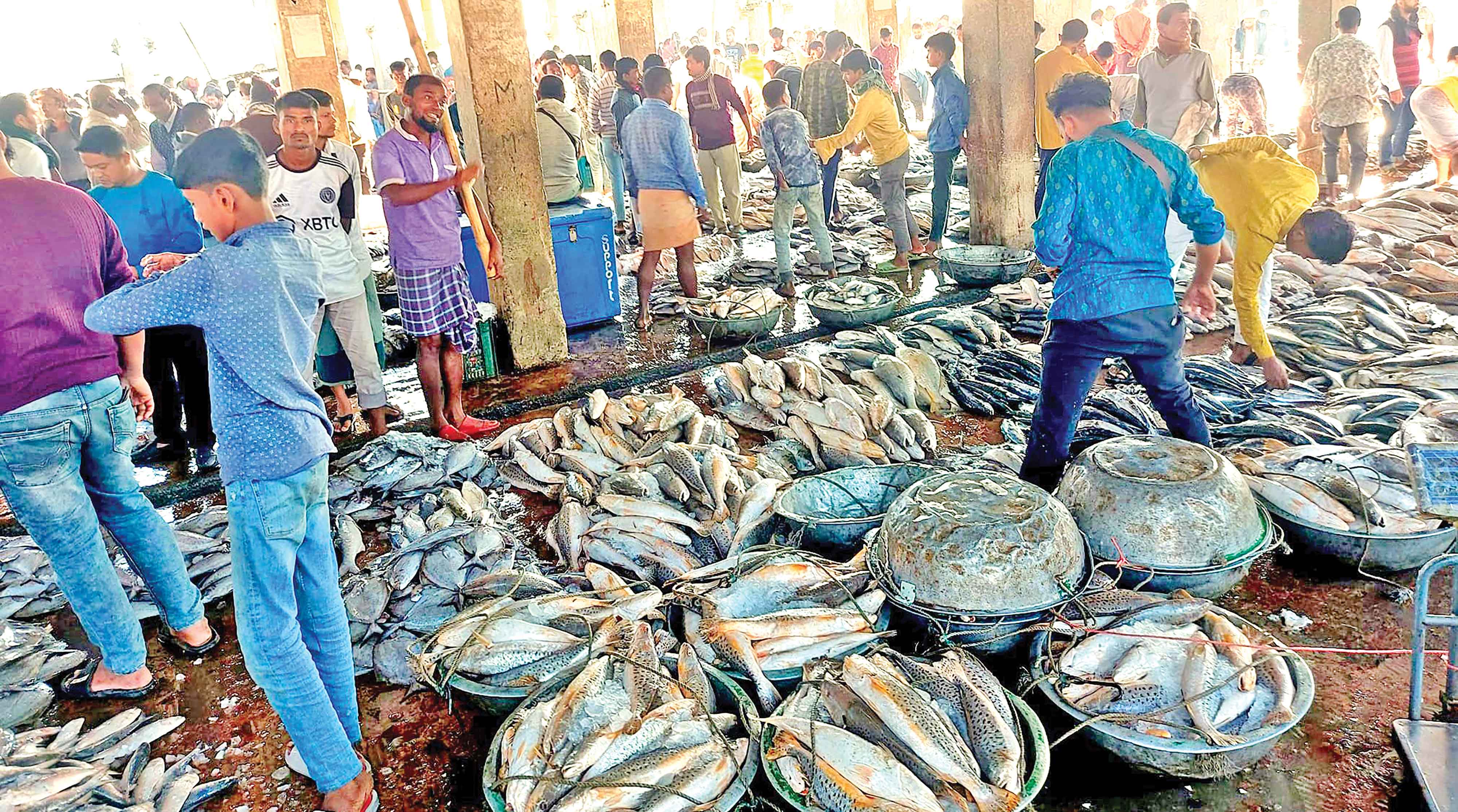 কক্সবাজারের ফিশারিঘাট সামুদ্রিক মাছে পরিপূর্ণ