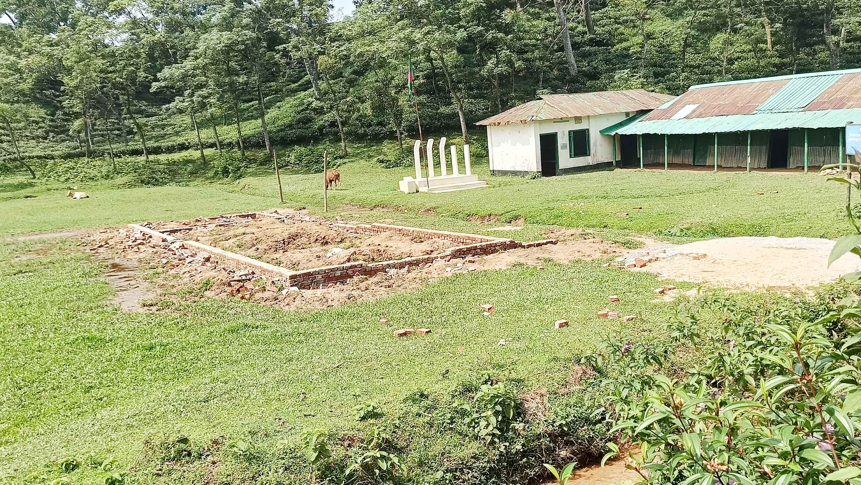 বাঁশখালীতে চা বাগানের নির্মাণাধীন স্কুলভবন ভাঙচুর, অনিশ্চিত পাঠদান
