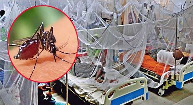 আরও তিনজনের মৃত্যু ডেঙ্গুতে , হাসপাতালে ভর্তি ৫৮৩ জন