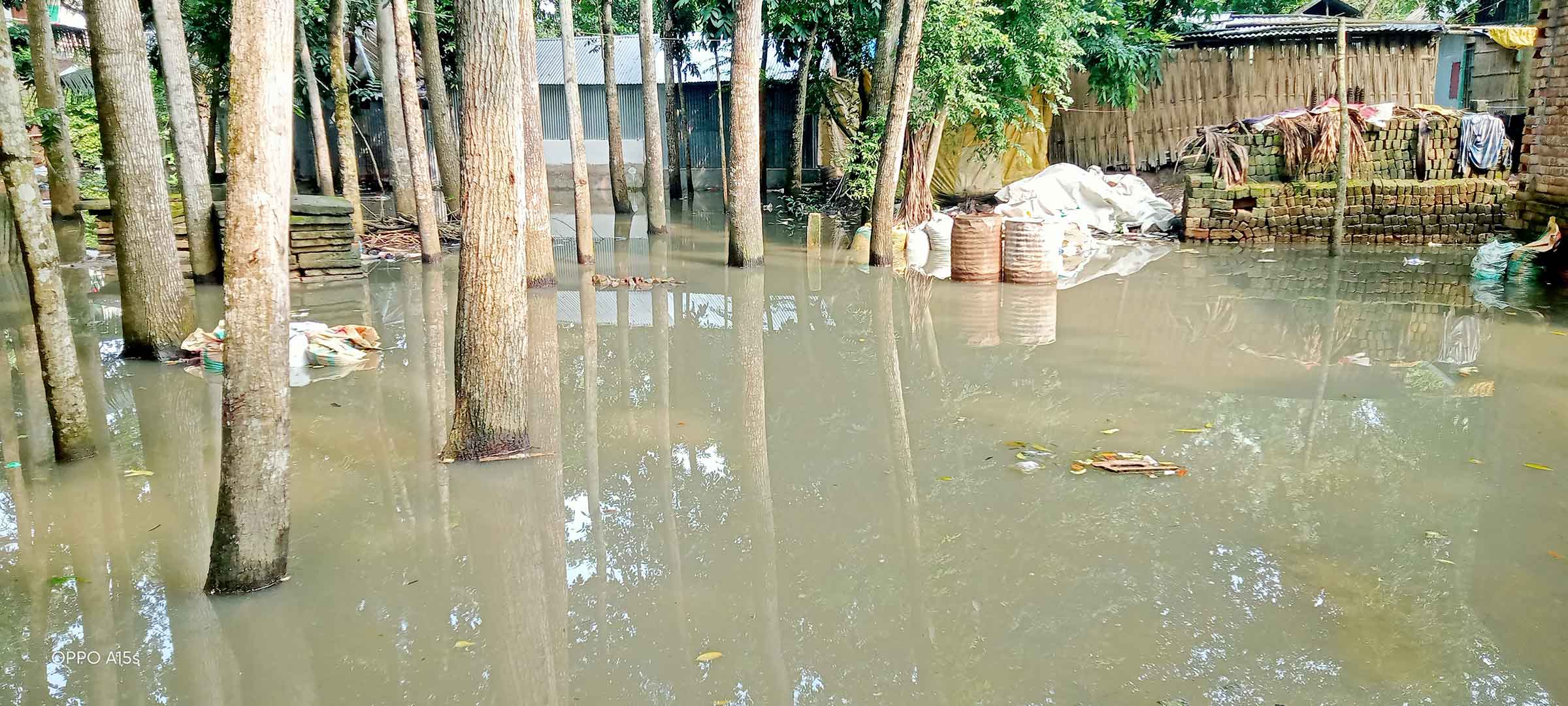 মধুখালীতে পানিবন্দি একাধিক পরিবার