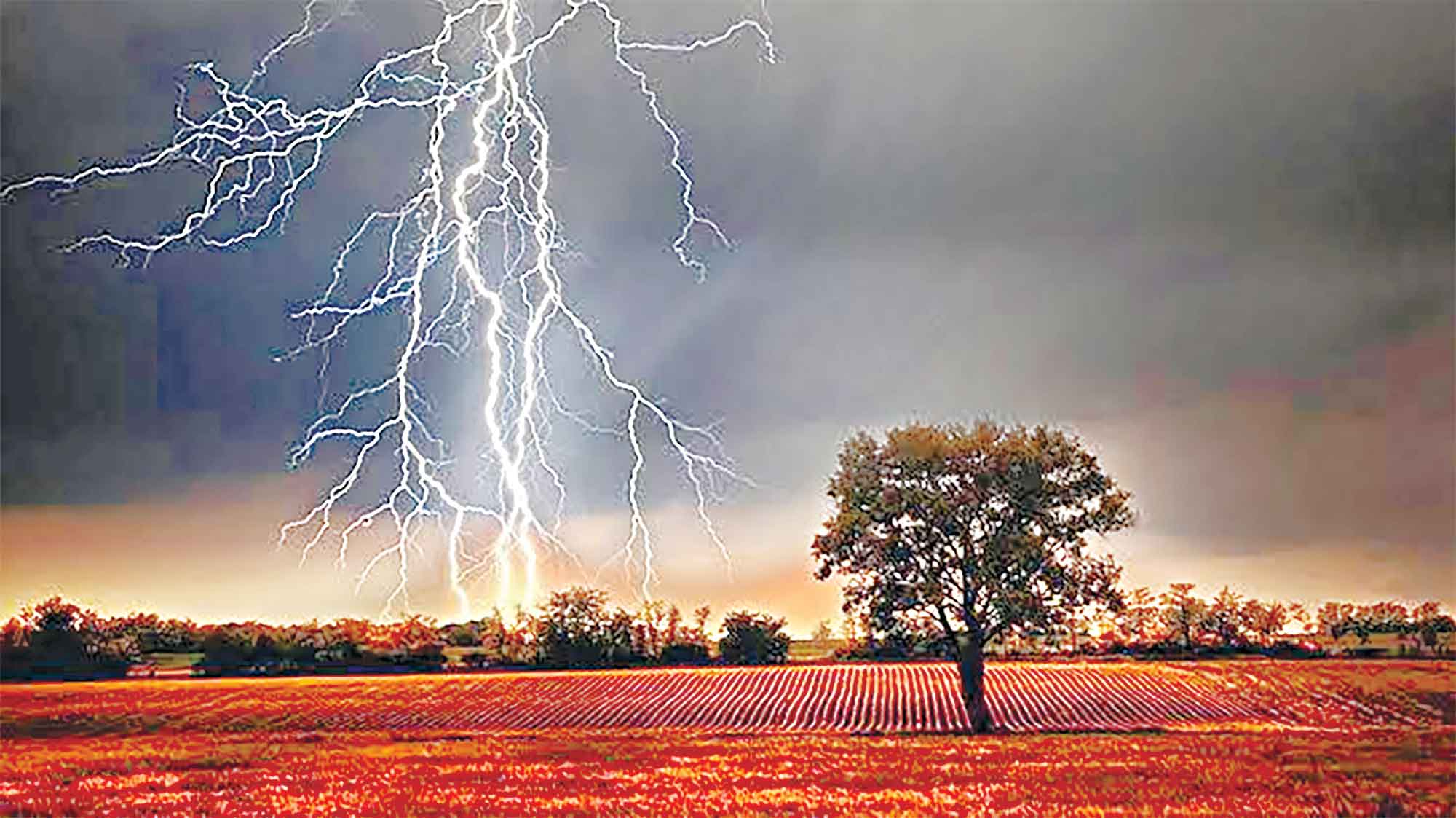 বজ্রপাতে ৭ মাসে ১৫৭ কৃষকের মৃতু্য