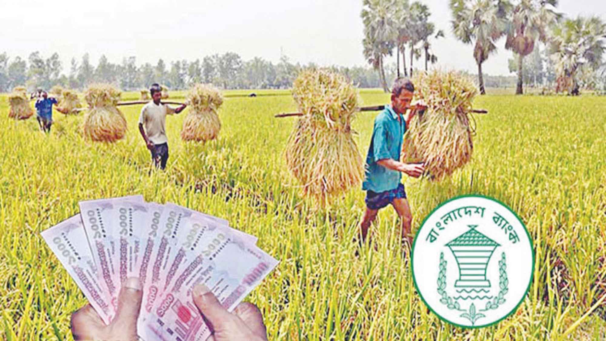 কৃষি খাতে সাফল্য বাড়বে সরকারি বিনিয়োগে