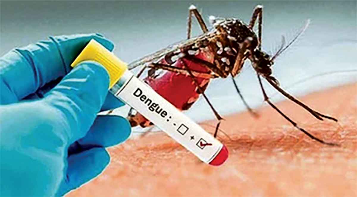 ডেঙ্গু ভয়ংকর :একদিনে সর্বোচ্চ মৃতু্য ৯ জন