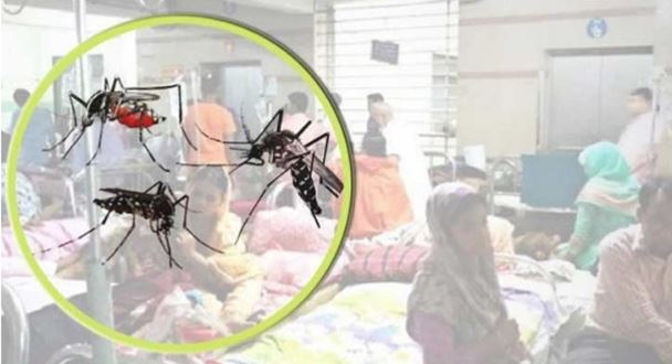আরও ৪ জনের মৃত্যু ডেঙ্গুতে , শনাক্ত ৬৬০