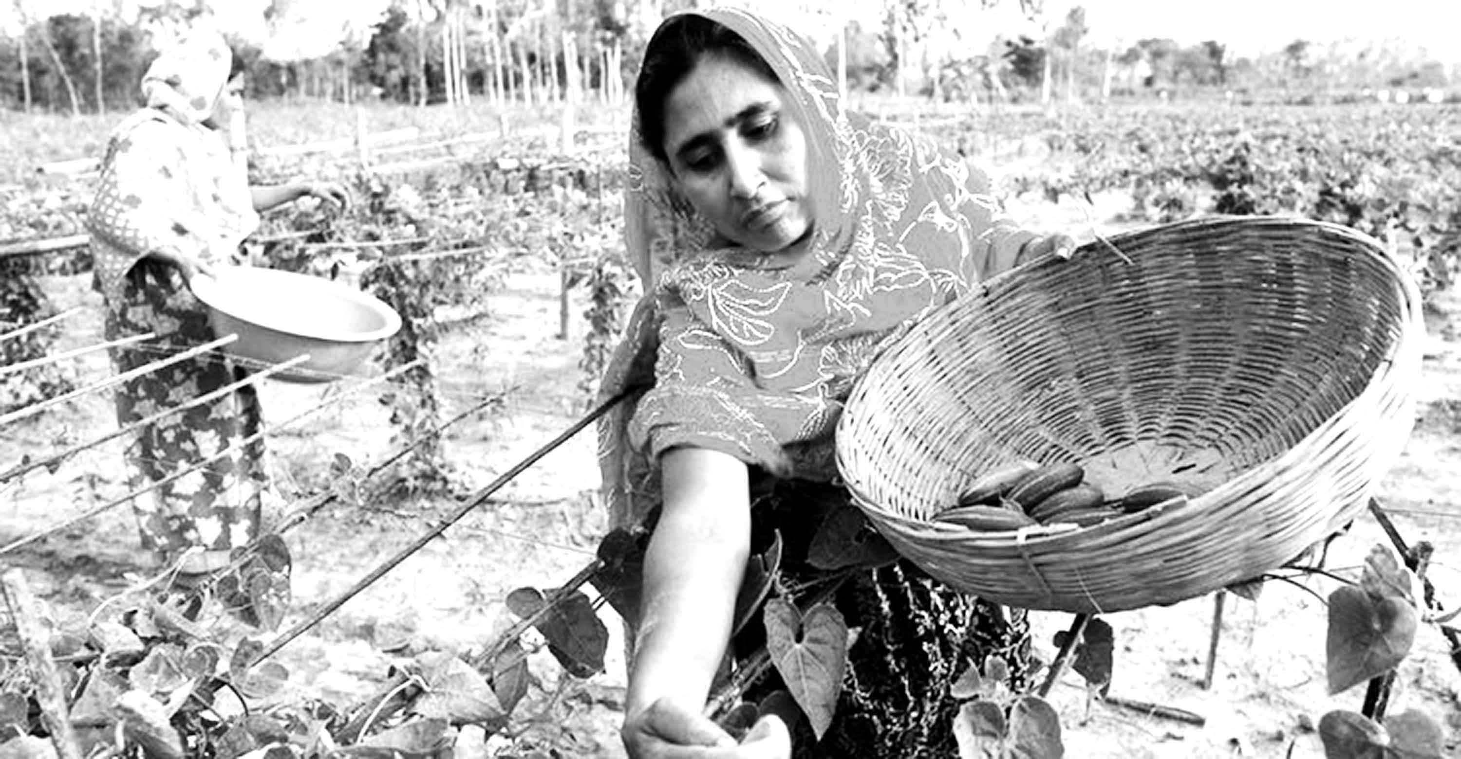 আন্তর্জাতিক গ্রামীণ নারী দিবস