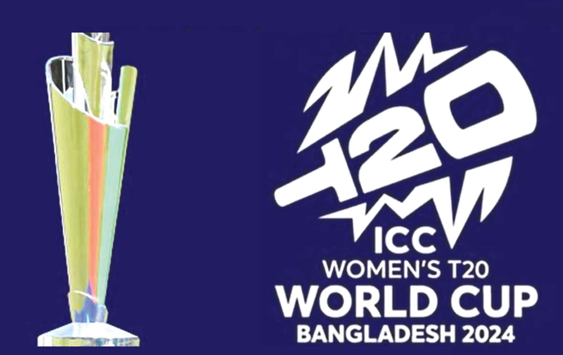পাকিস্তানের হারে ভারতের বিদায়
