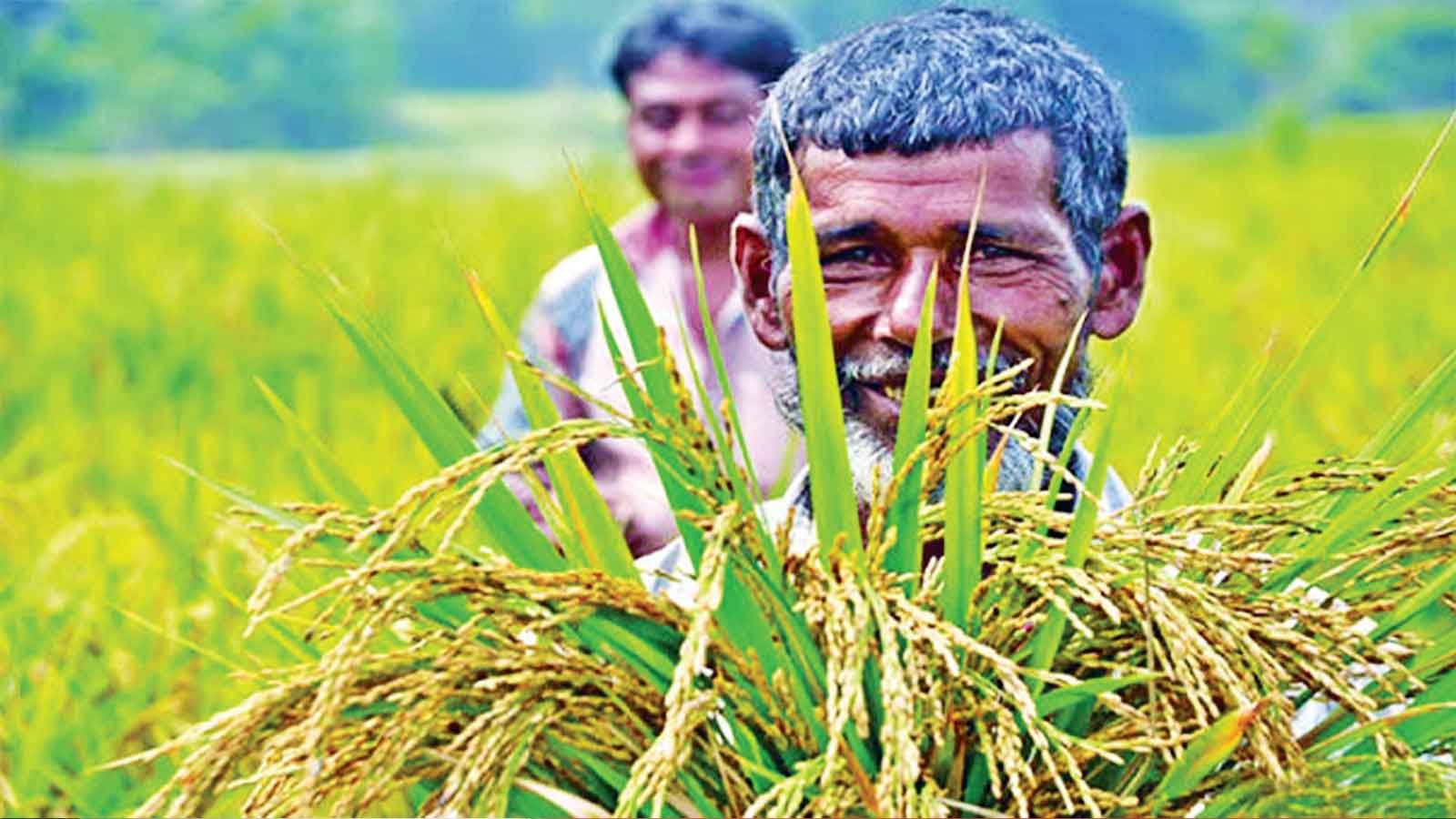 বৈরী প্রকৃতিতেও খাদ্য উৎপাদনে বিশ্বে রোল মডেল বাংলাদেশ