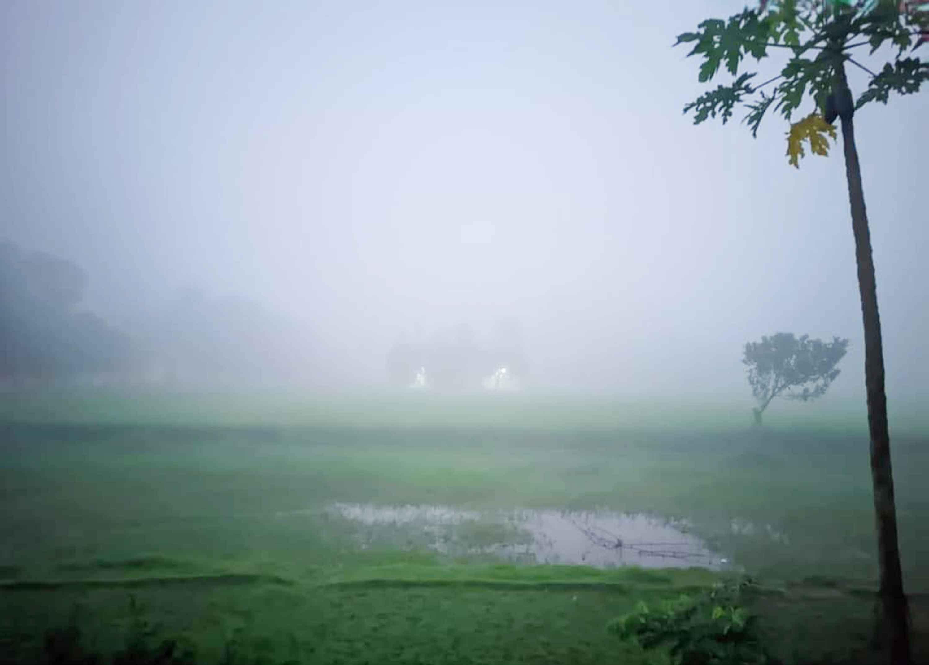 মানিকছড়িতে ঘনকুয়াশায় শীতের আগমনী বার্তা