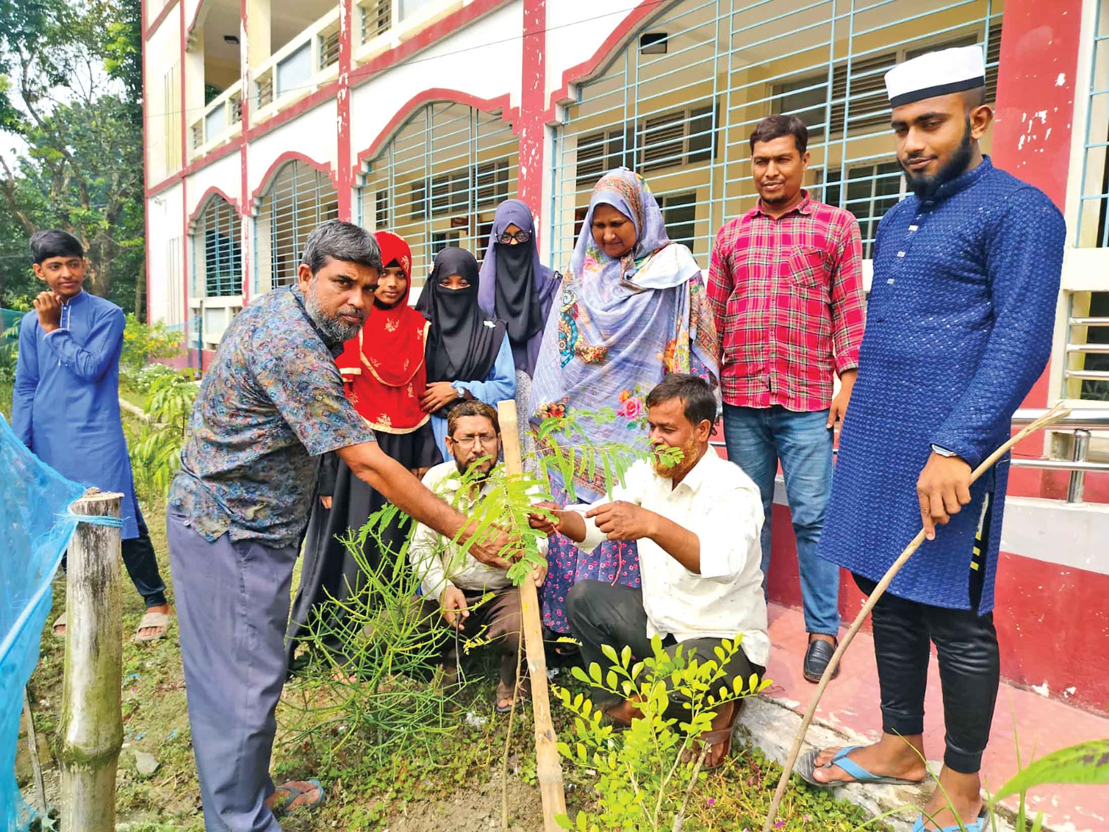 ঝিনাইদহে গাছের চারা রোপণ কর্মসূচি