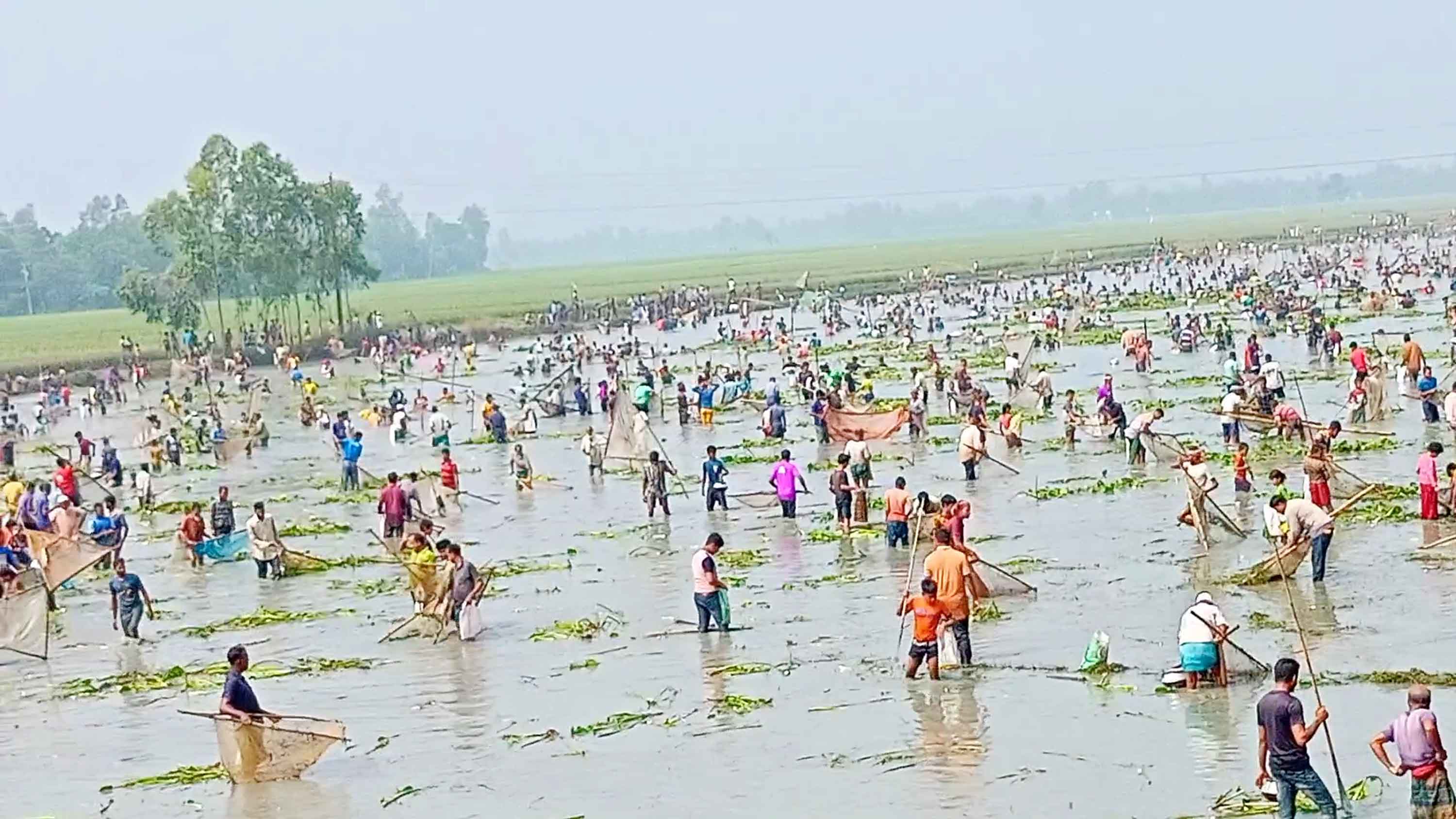 মধুখালীর চন্দনা নদীতে নৌকা বাইচ অনুষ্ঠিত