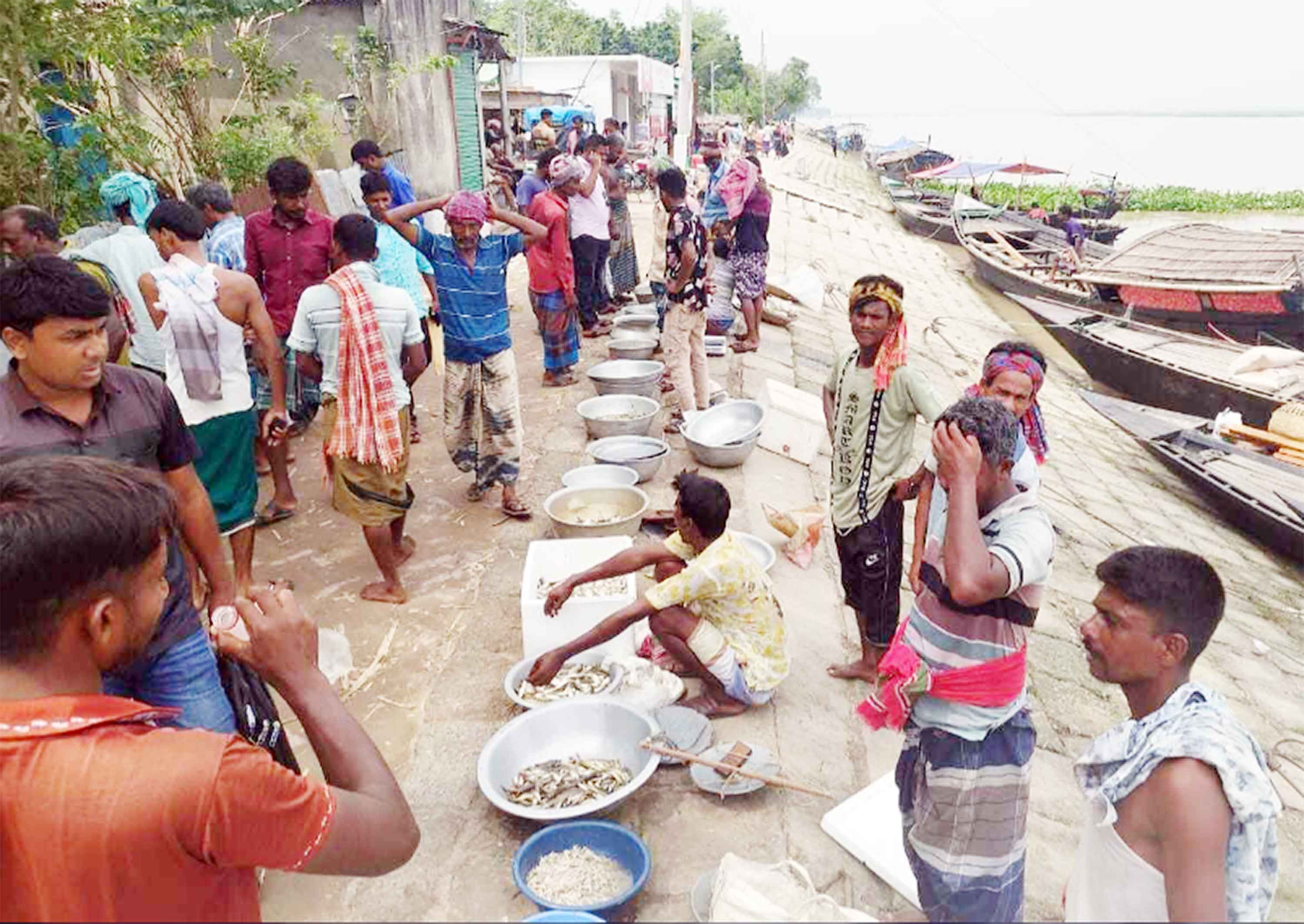 দৌলতপুরে পদ্মাপাড়ে মাছের হাটে বছরে শতকোটি টাকার বেচাকেনা!