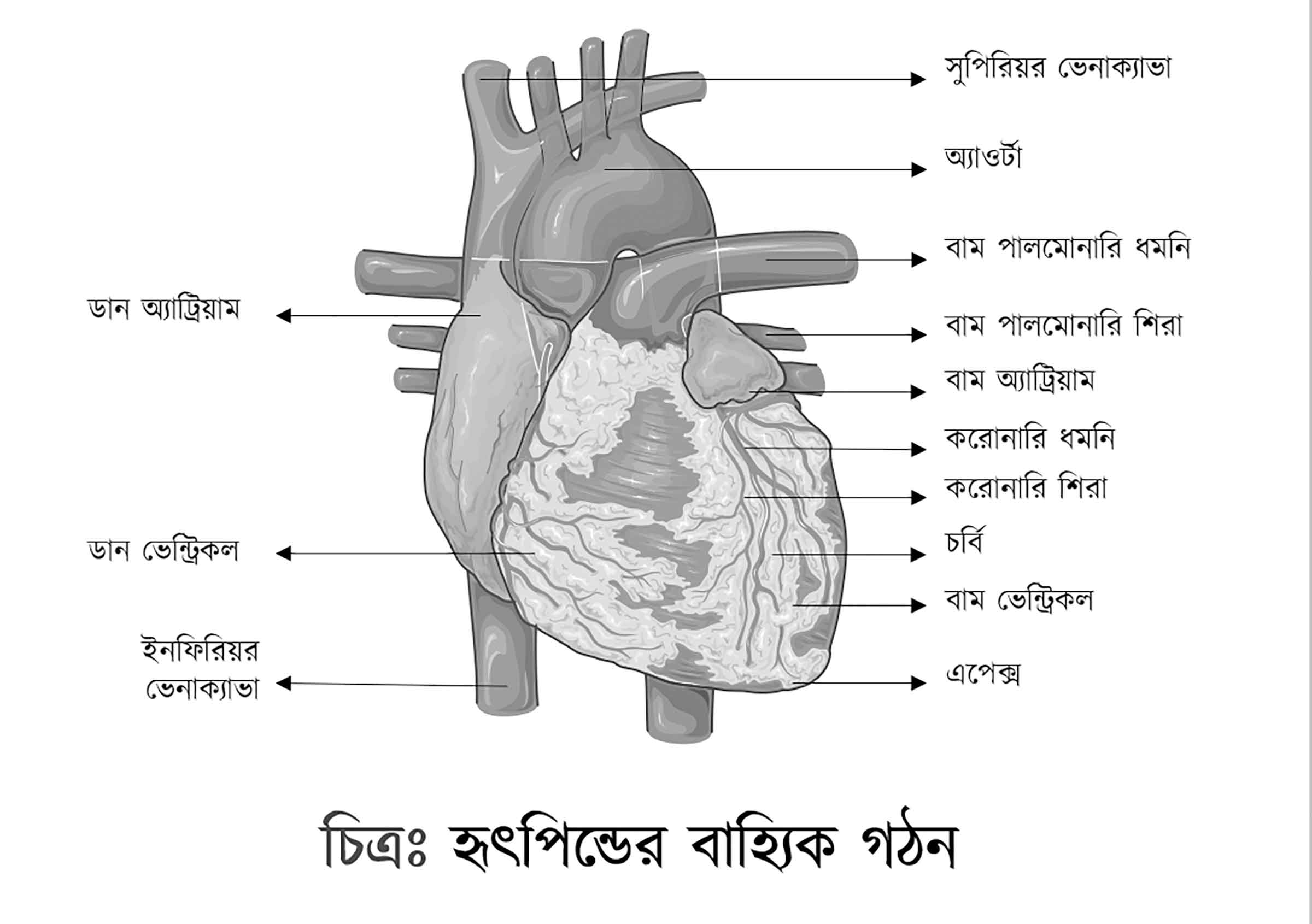 জানার আছে অনেক কিছু