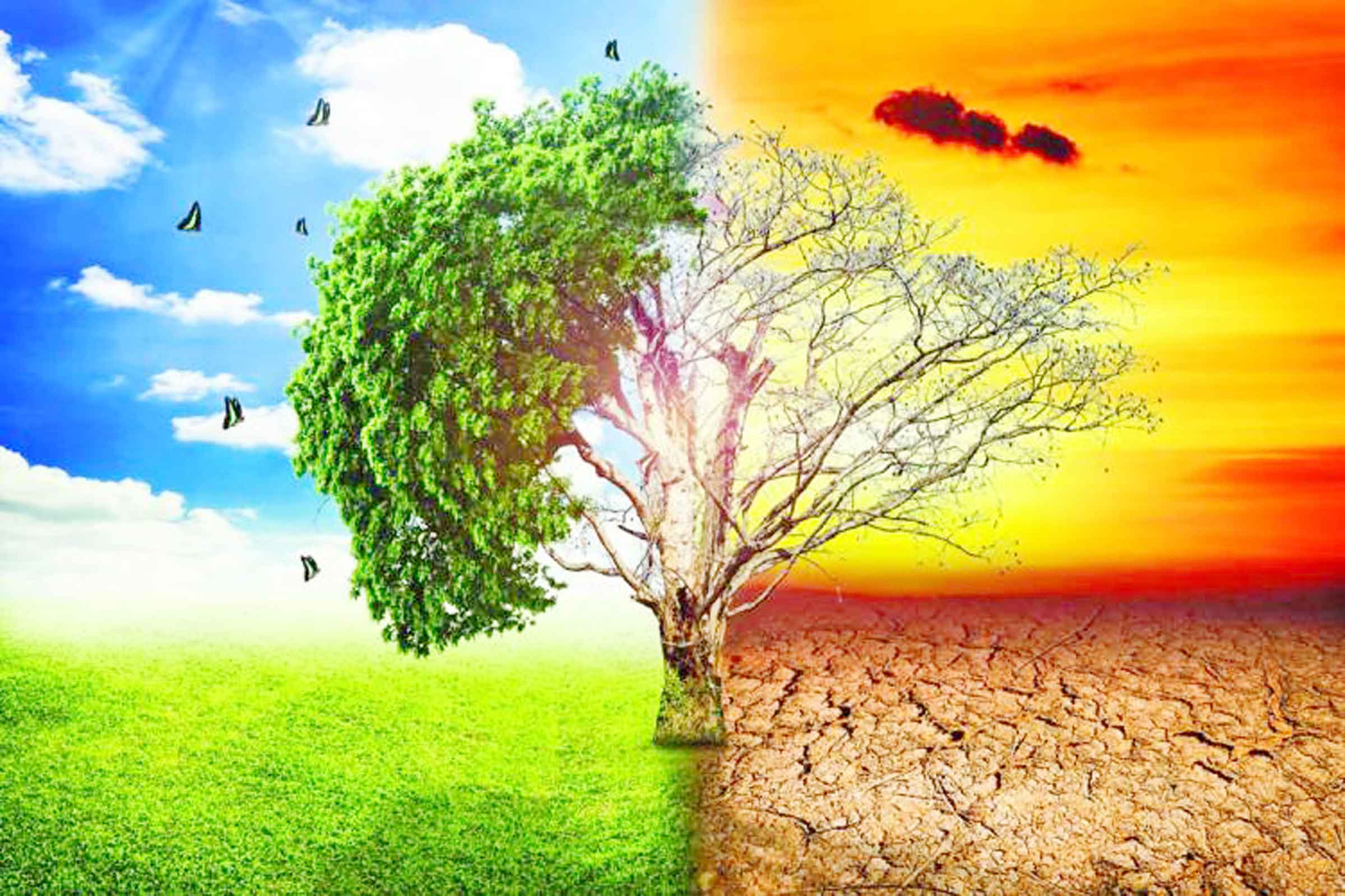 জলবায়ু পরিবর্তনে জীববৈচিত্র্যের প্রভাব