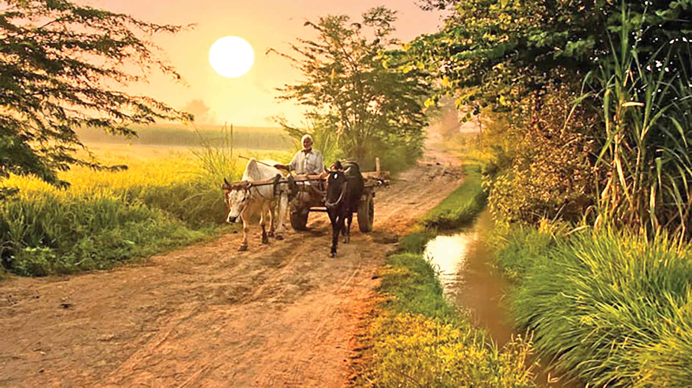 নবান্নের ঋতু হেমন্ত