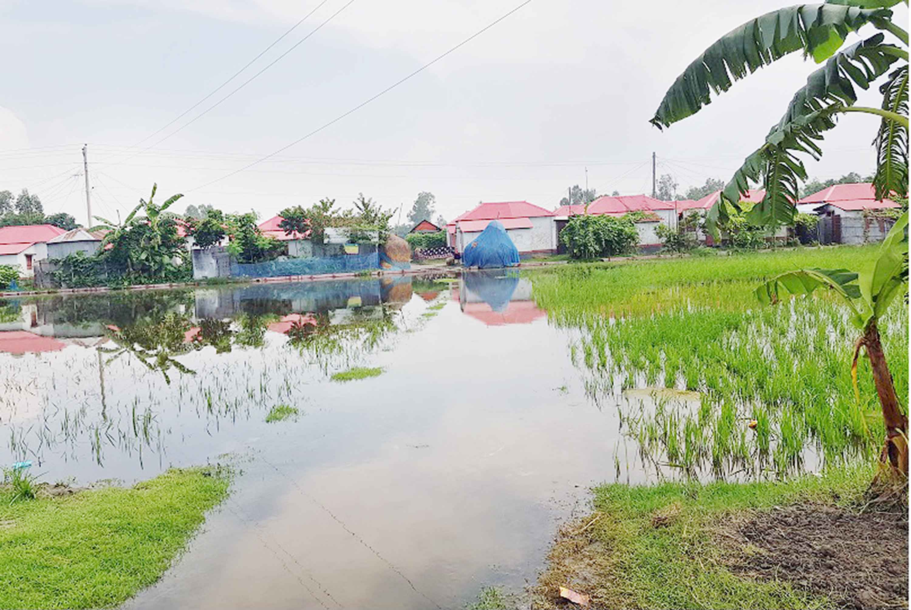 নদীর চরে আশ্রয়ণ প্রকল্প ভোগান্তিতে বাসিন্দারা