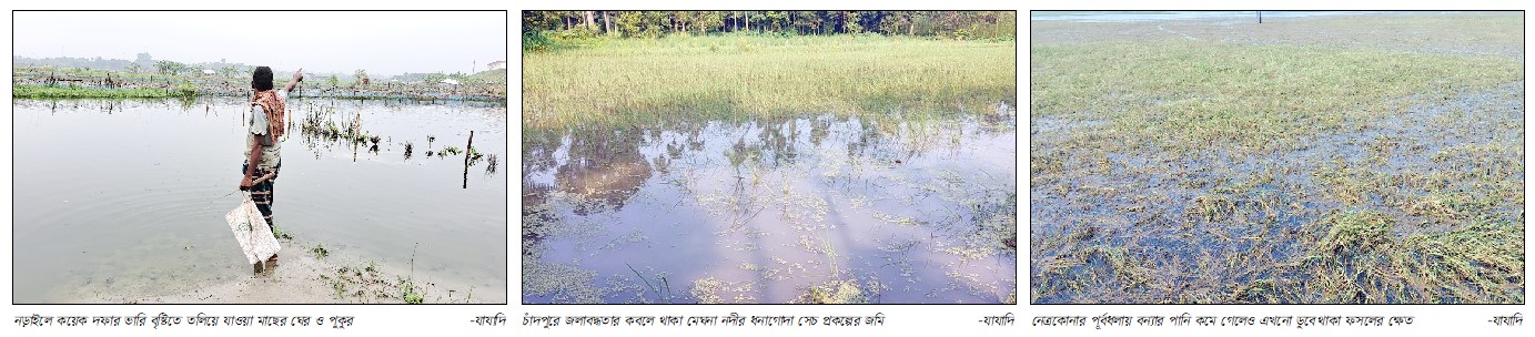 অতিবর্ষায় নড়াইল, চাঁদপুর ও পূর্বধলায় কয়েক হাজার হেক্টর জমিতে জলাবদ্ধতা