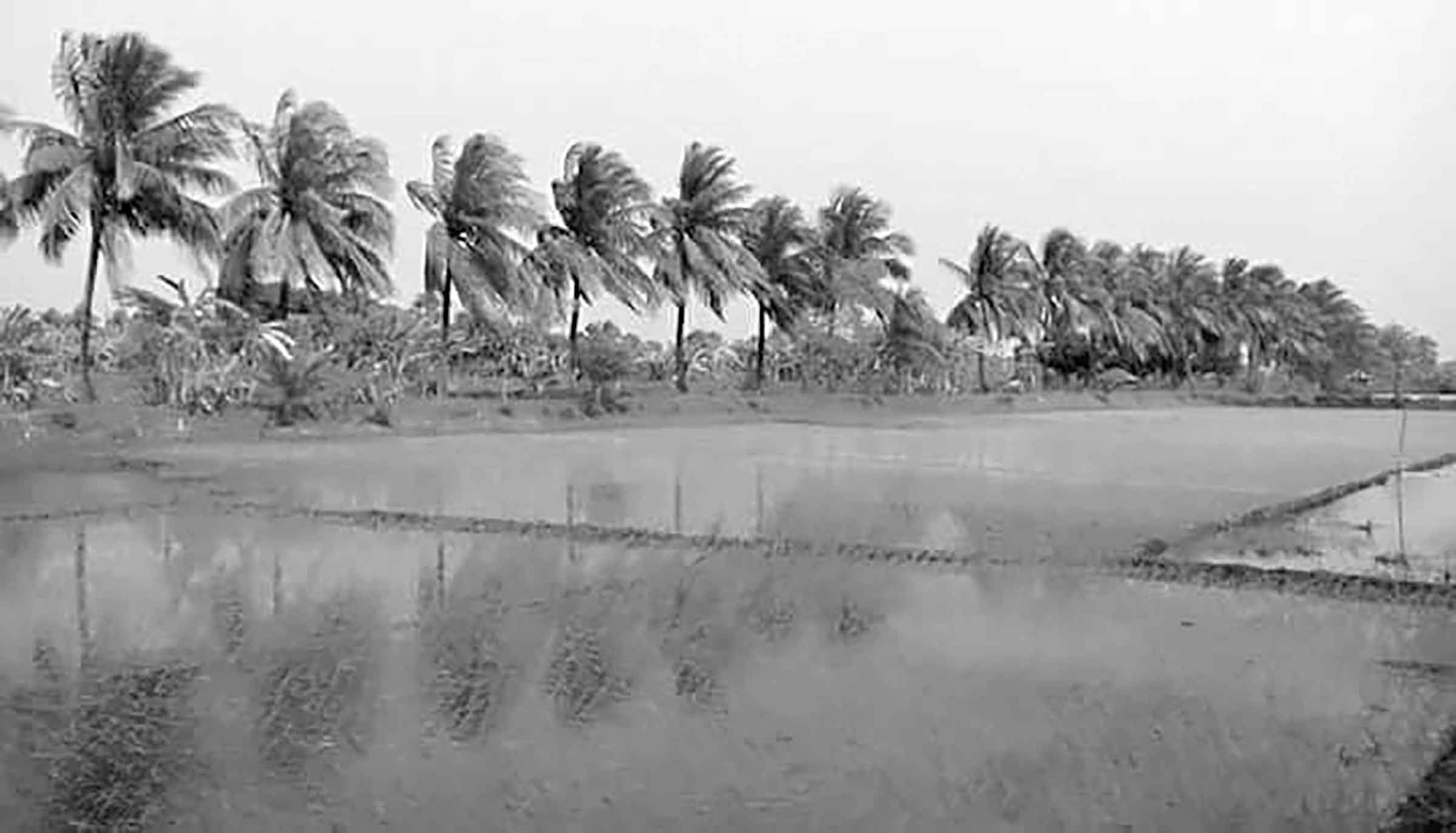 জানার আছে অনেক কিছু