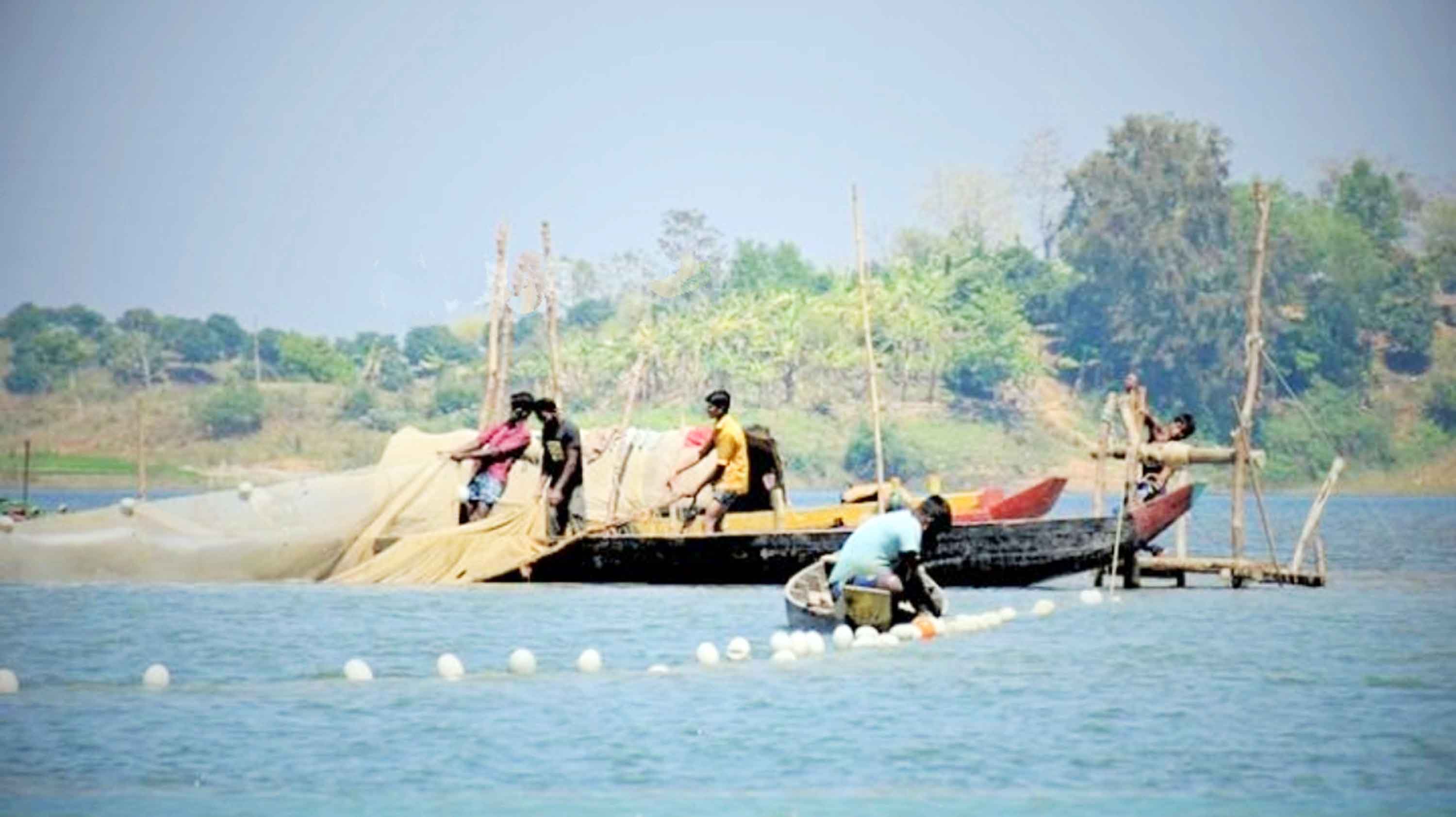 মৎস্য ভান্ডার কাপ্তাই হ্রদে ৮১ প্রজাতি মাছের সন্ধান