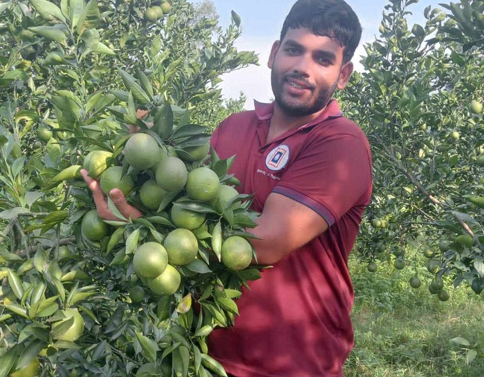রাবি শিক্ষার্থীর মাল্টা চাষে বাজিমাত, এবছর ১০লাখ টাকায় বিক্রির সম্ভাবনা