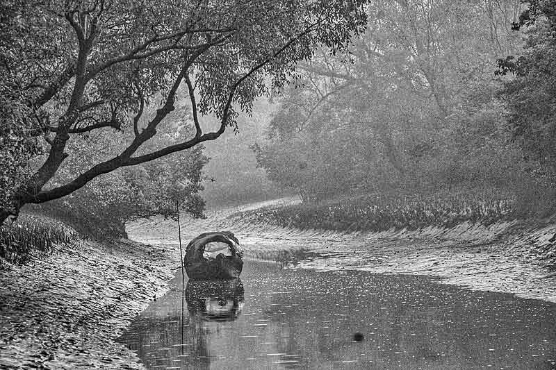 জানার আছে অনেক কিছু