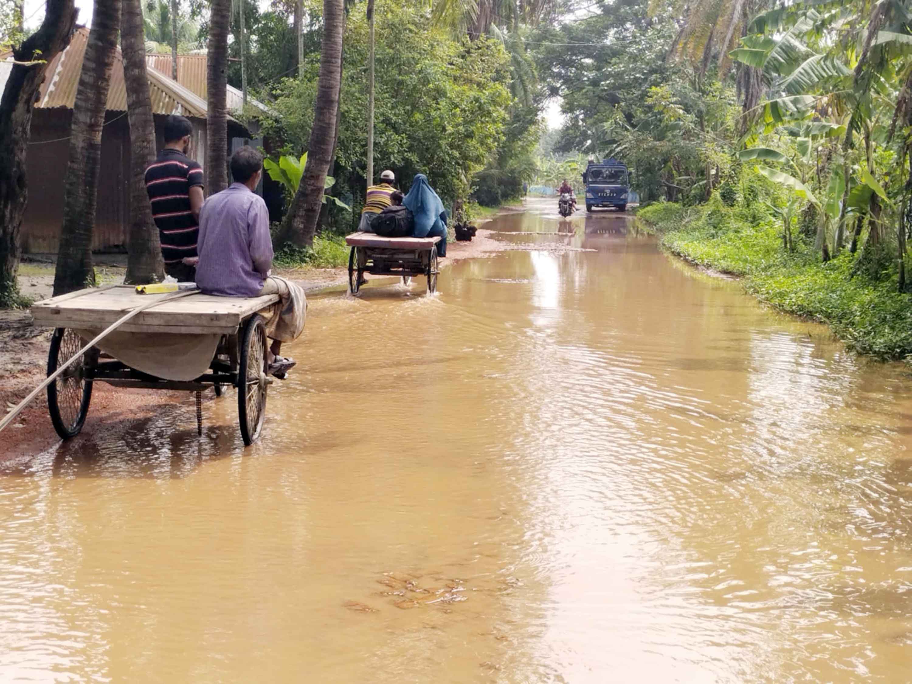 অপরিকল্পিত পুকুরে আশঙ্কাজনক হারে কমছে ফসলি জমি