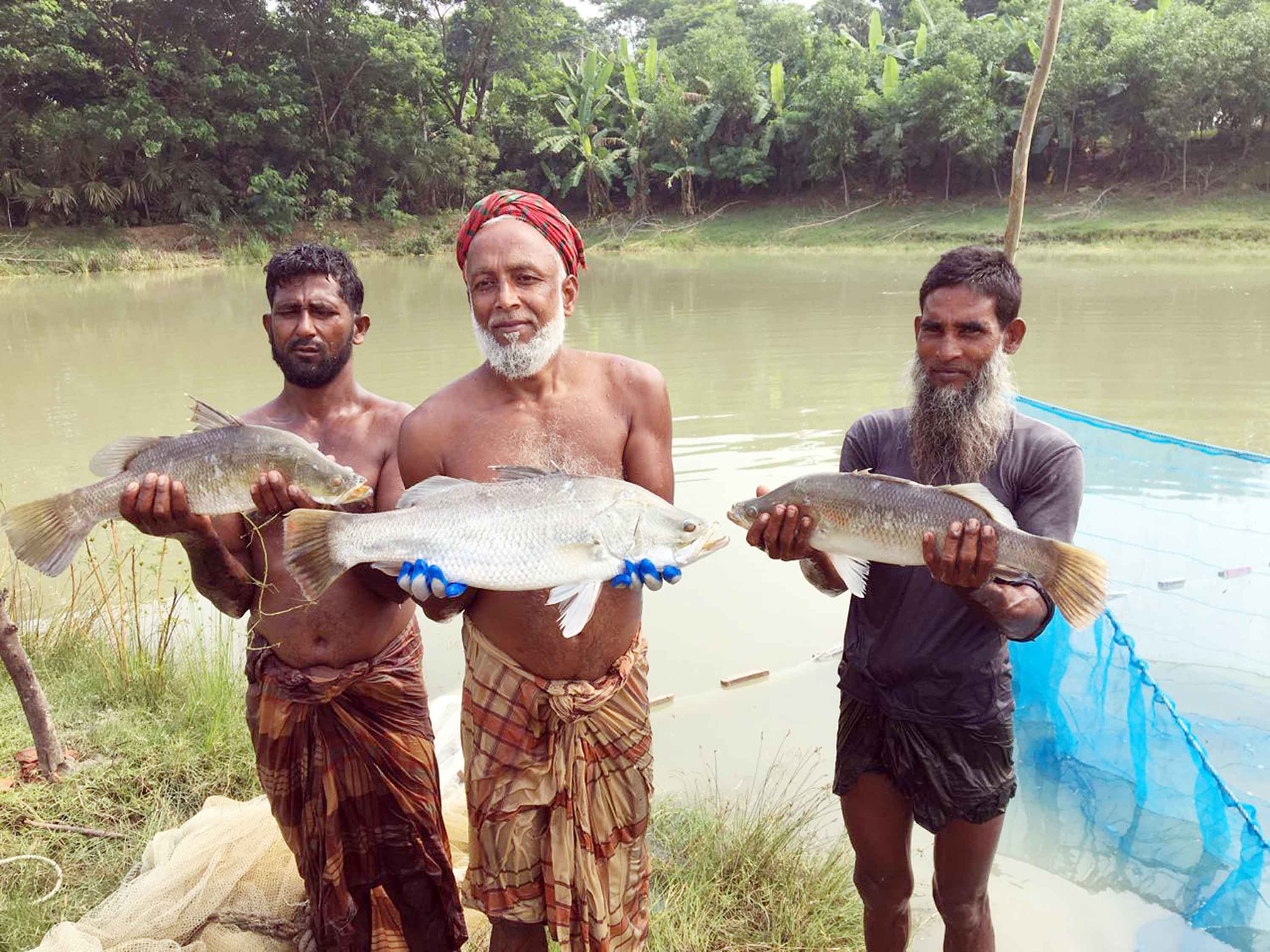 সামুদ্রিক শৈবাল ও ফিড খাবারে চাষ হবে সুস্বাদু কোরাল মাছ