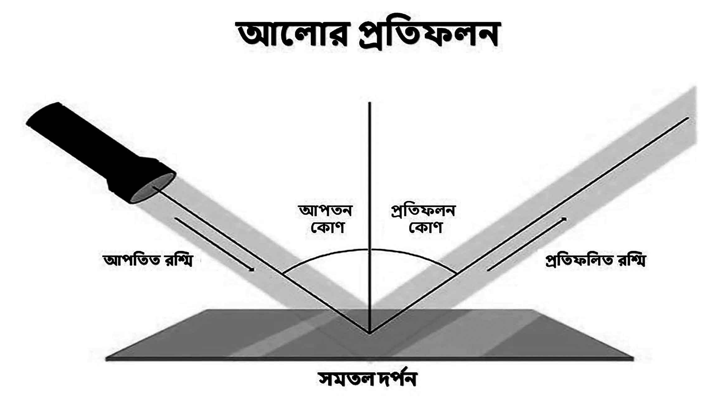 ষষ্ঠ শ্রেণির বিজ্ঞান অনুশীলন