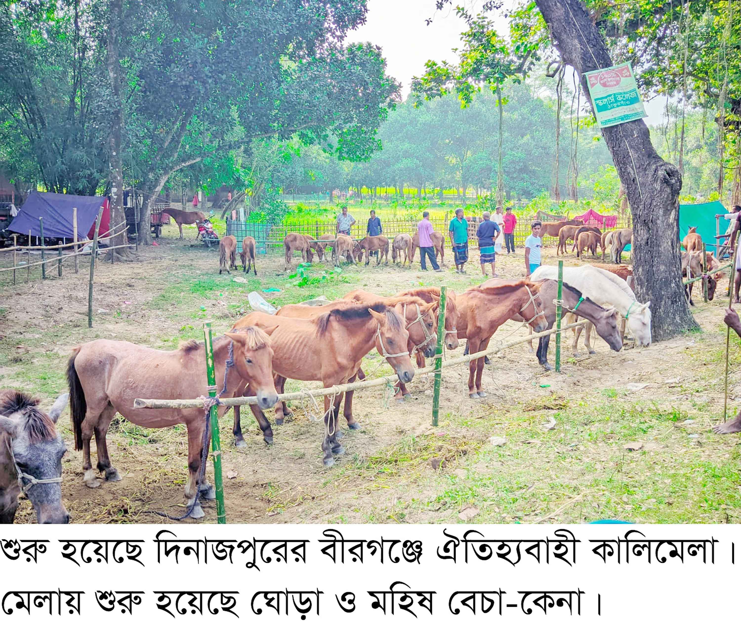 বীরগঞ্জের ঐতিহ্যবাহী কালিমেলা শুরু