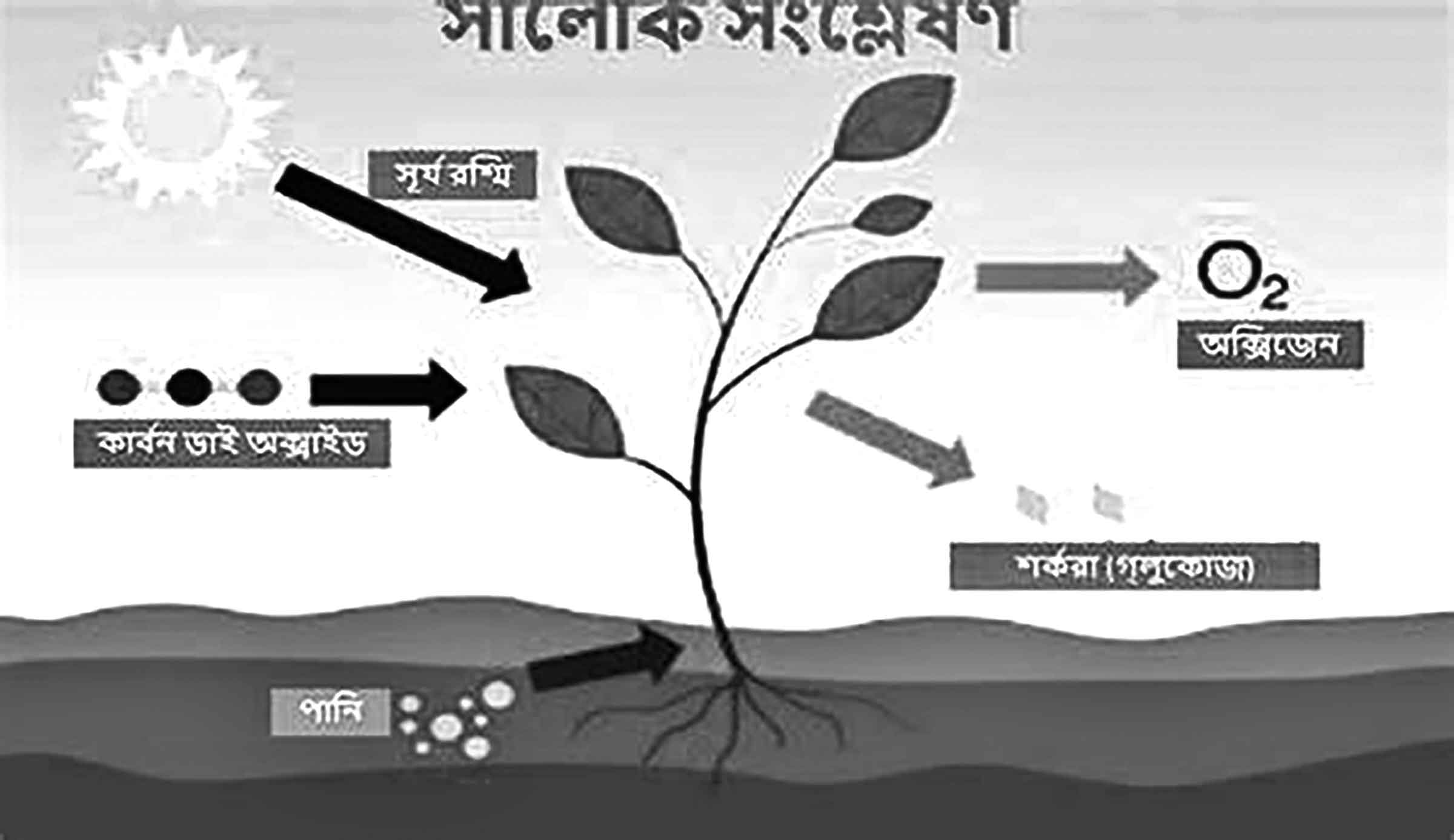 জানার আছে অনেক কিছু