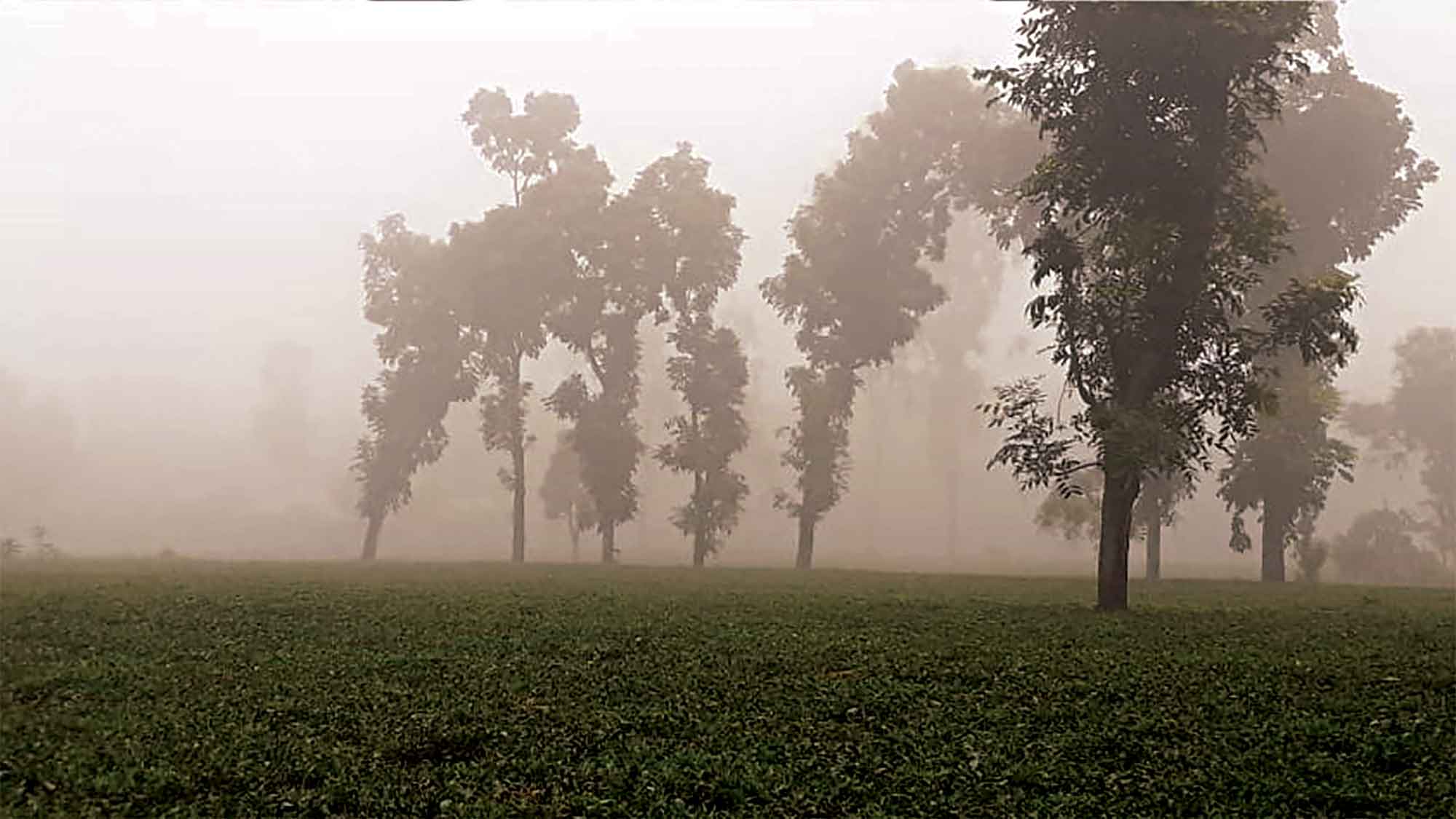 তেঁতুলিয়ায় ঘন কুয়াশা আগাম শীতের বার্তা