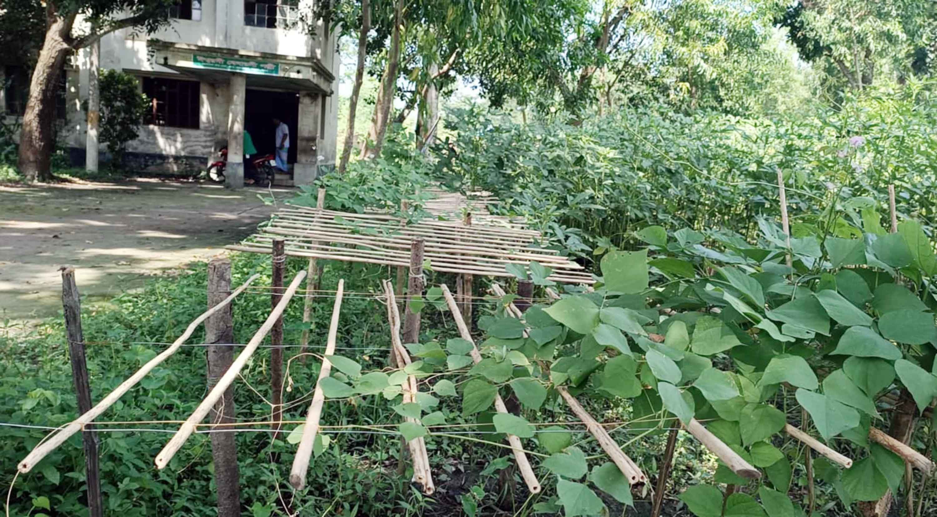 ঈশ্বরদী বেনারসি পলস্নী এখন মৌসুমি সবজির ক্ষেত