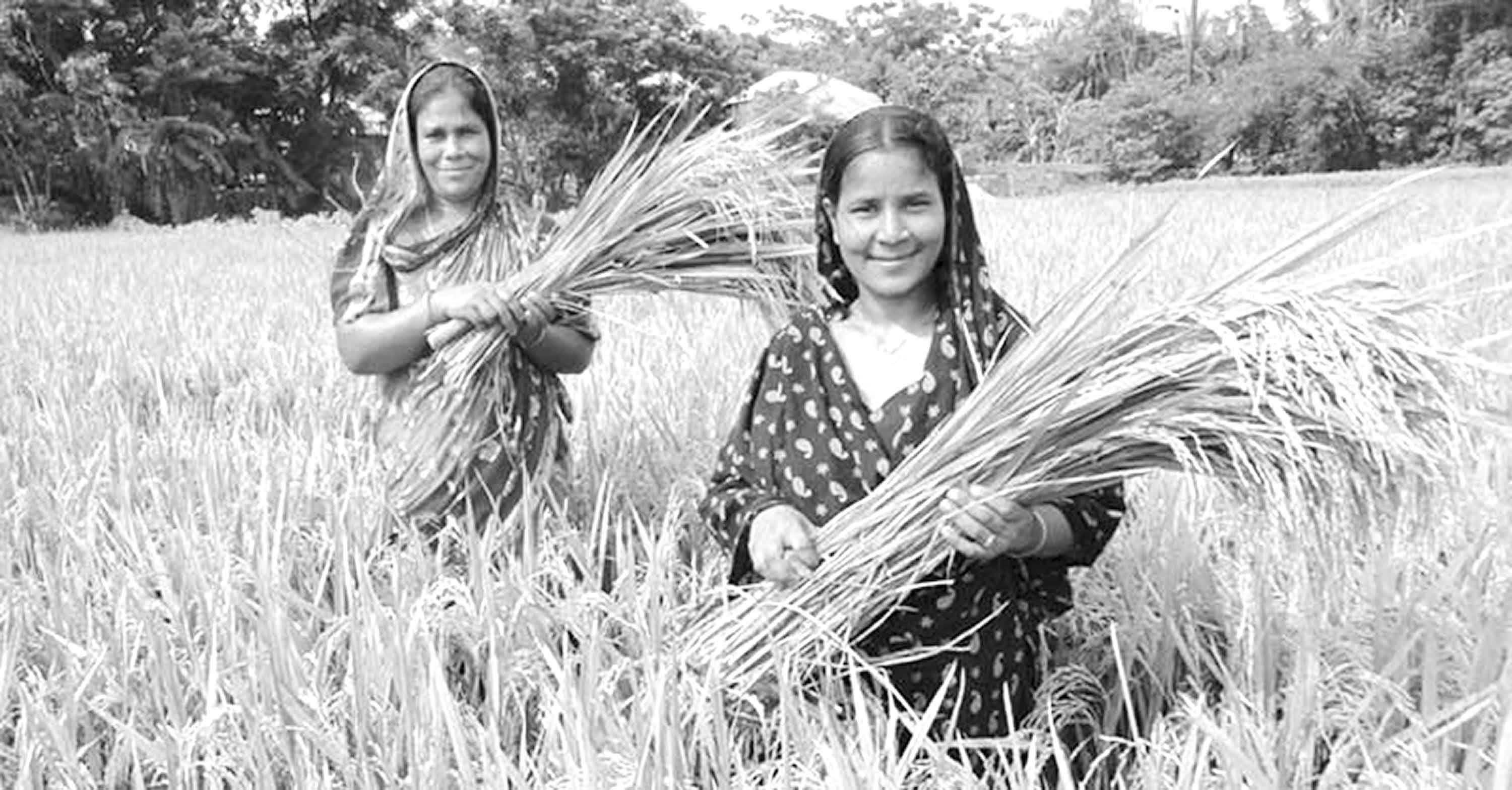 নারীর সংগ্রামের শেষ নেই