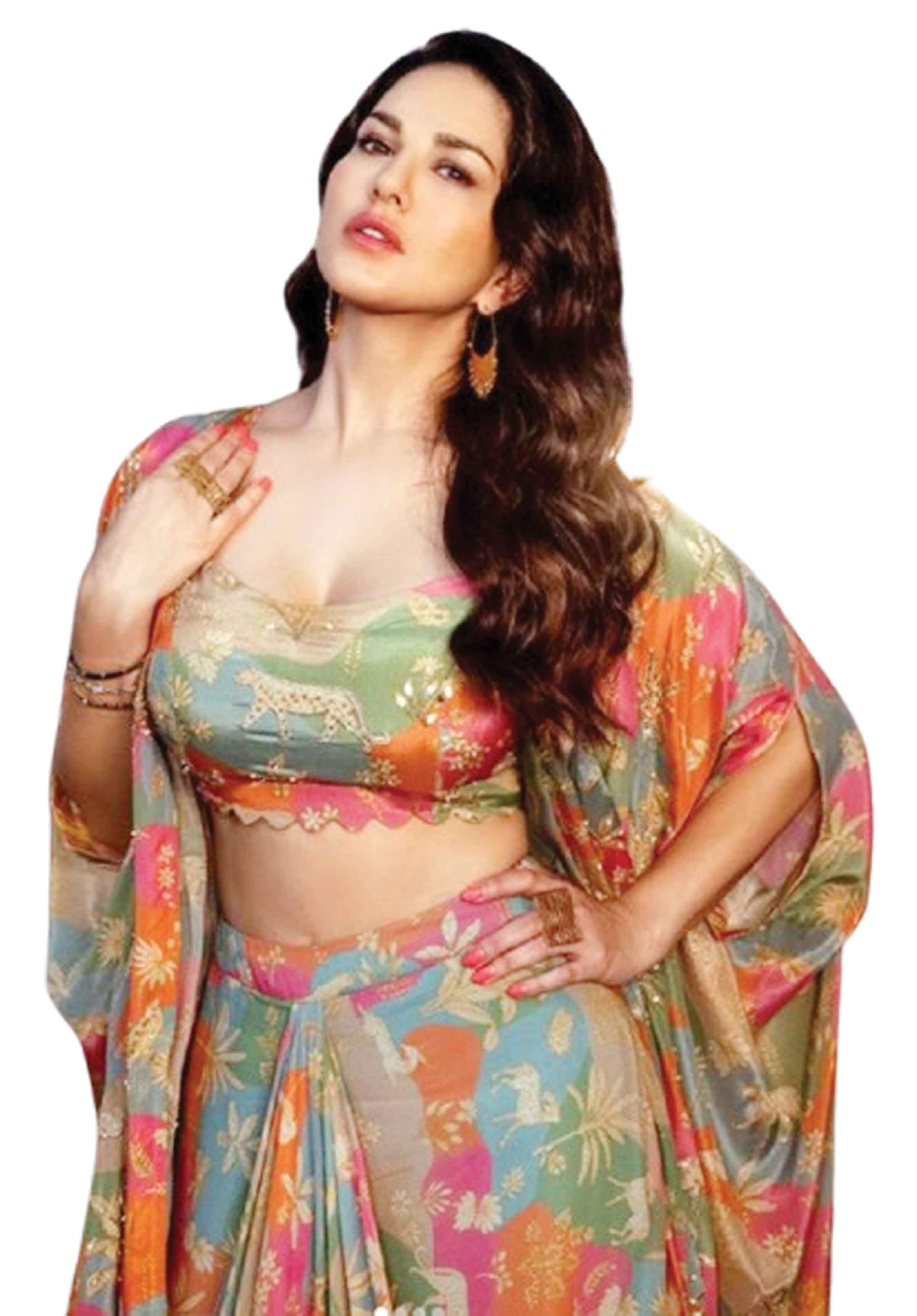 ফের বিয়ে করলেন সানি লিওন!