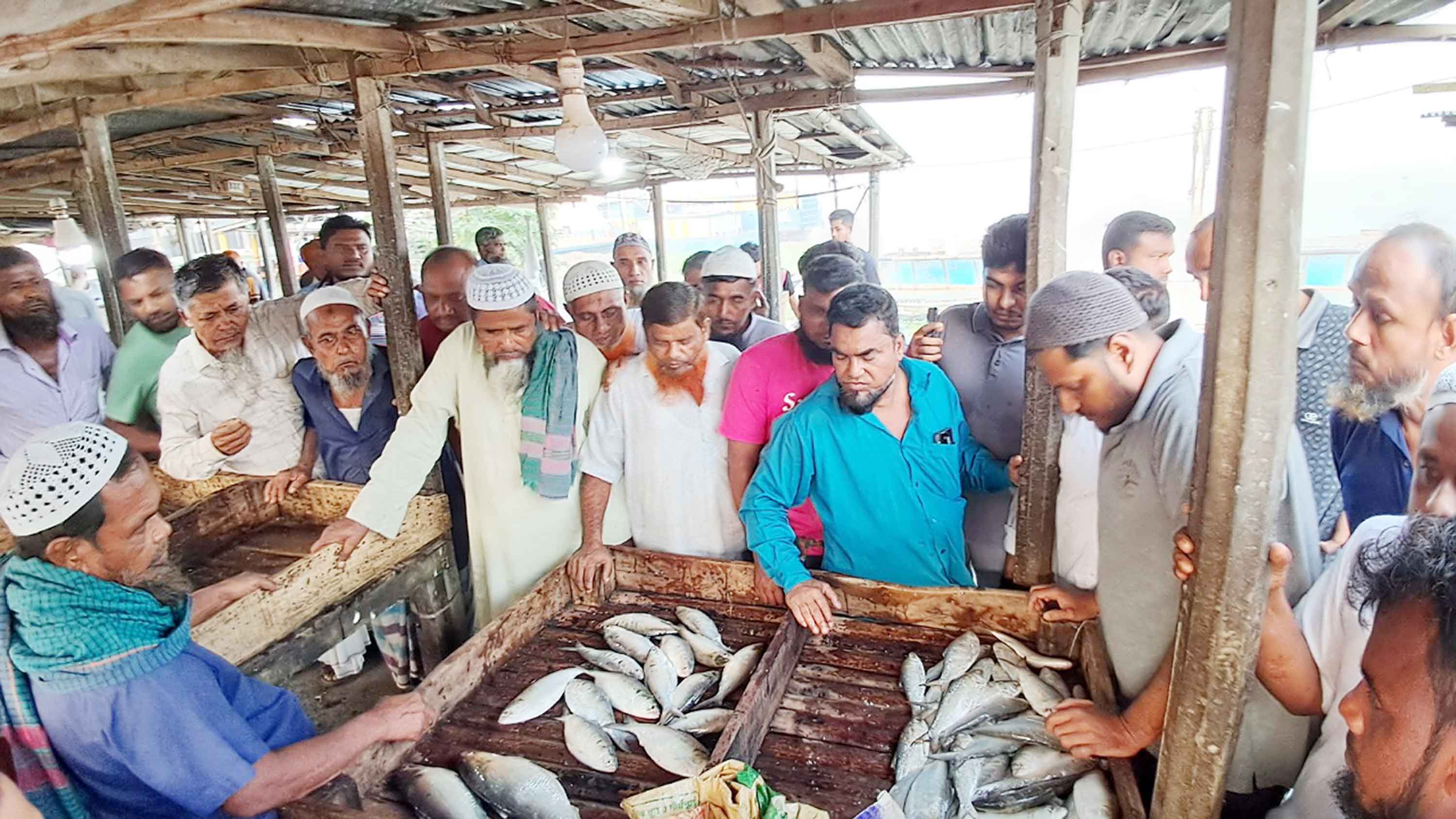 চাঁদপুরে ক্রেতা-বিক্রেতায় সরগরম ইলিশের আড়ত