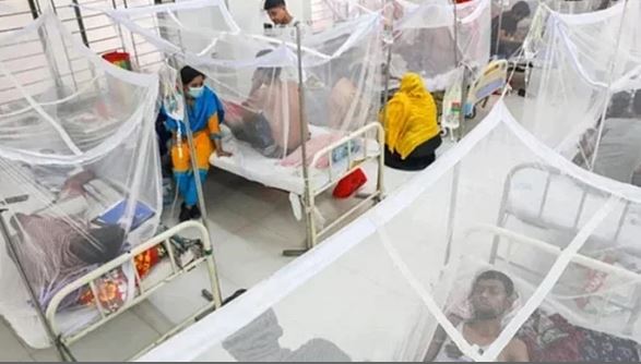 ডেঙ্গুতে ৪ জনের মৃত্যু , আক্রান্ত ১১০৯