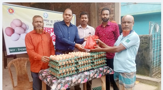গৌরীপুরে প্রাণিসম্পদ বিভাগের উদ্যোগে ১২ টাকা পিস ডিম বিক্রি