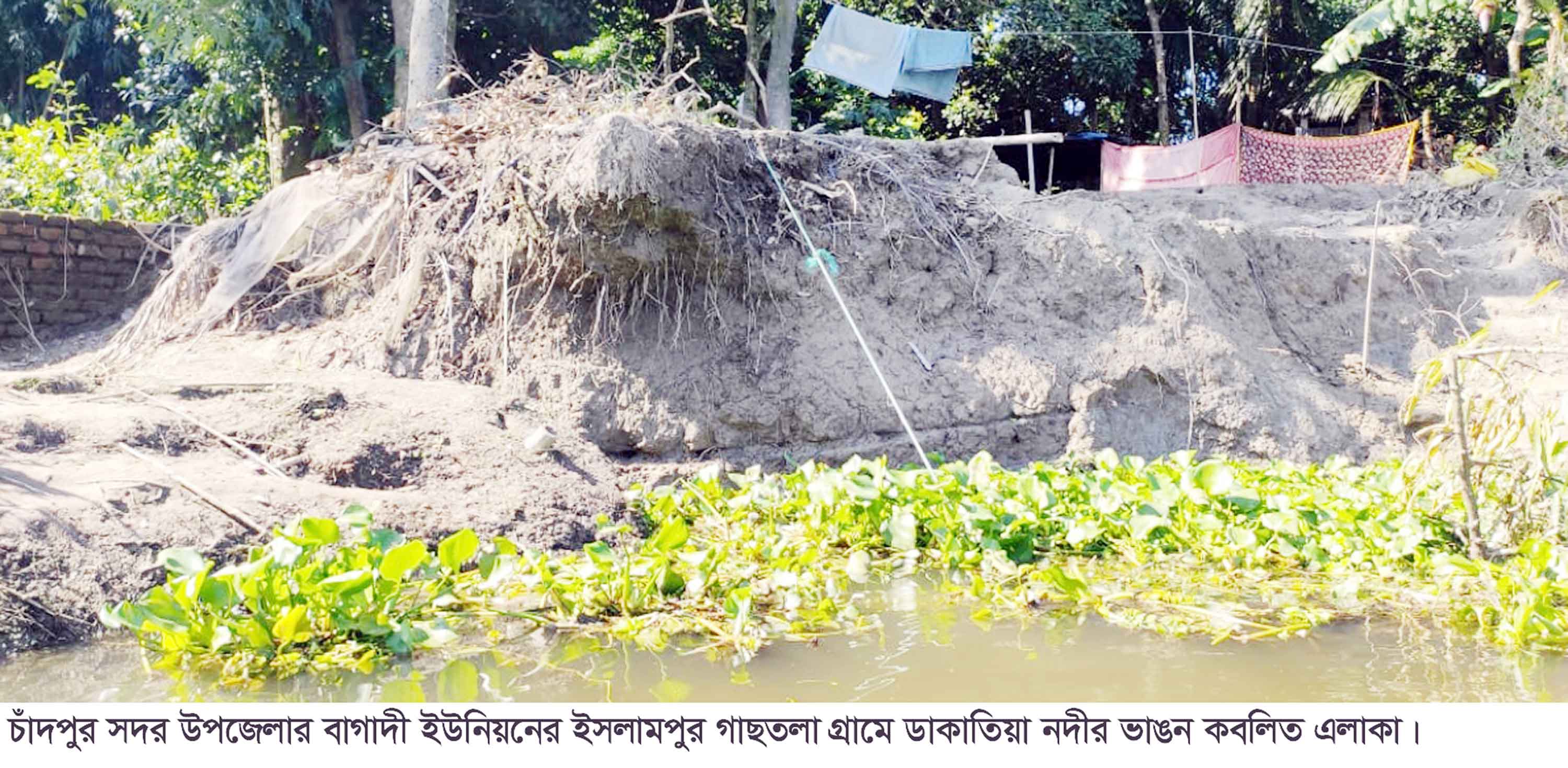 ডাকাতিয়ার ভাঙনে হুমকিতে সহস্রাধিক পরিবার