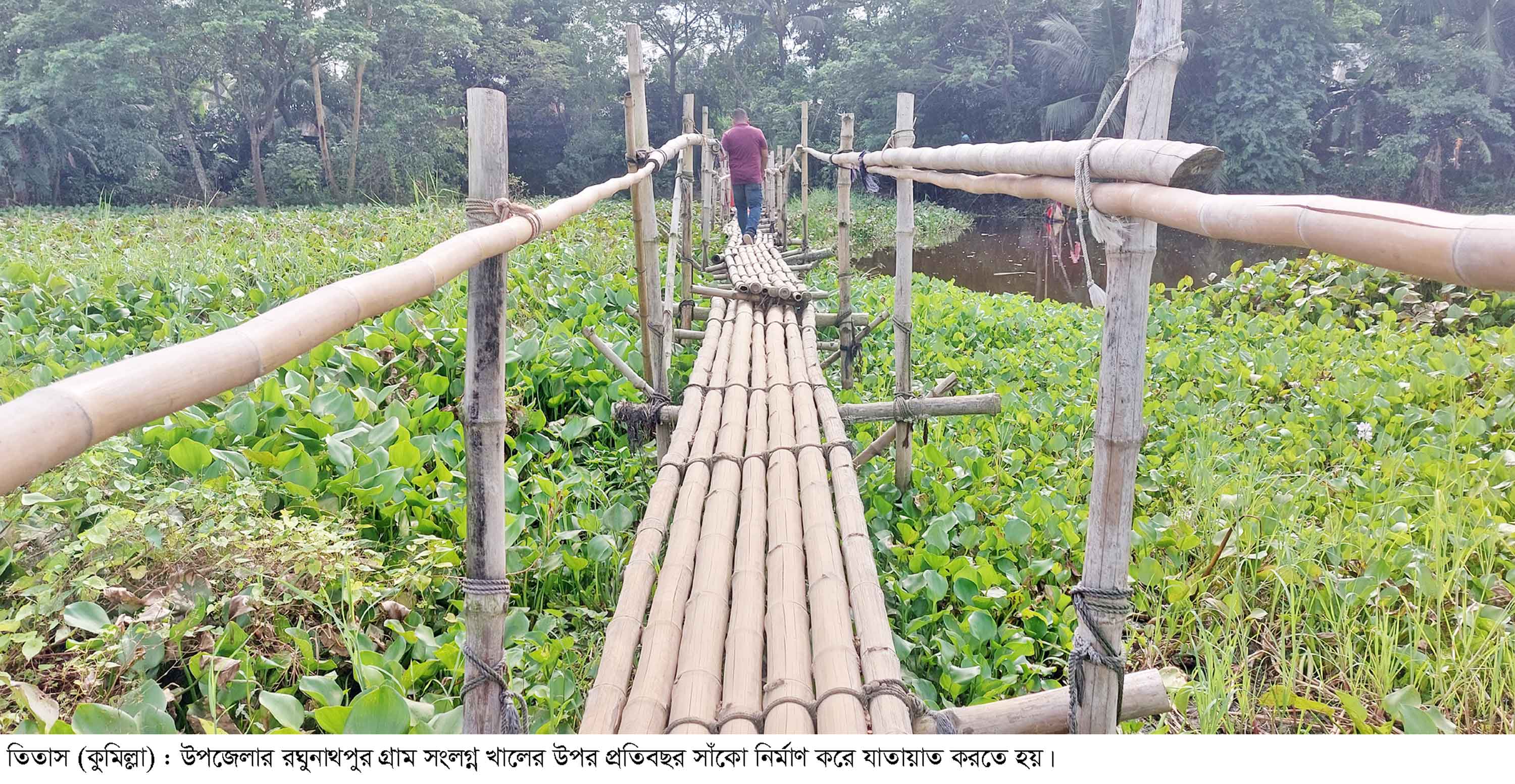 তিতাসের ৬ গ্রামের মানুষের যাতায়াতে একমাত্র ভরসা বাঁশের সাঁকো