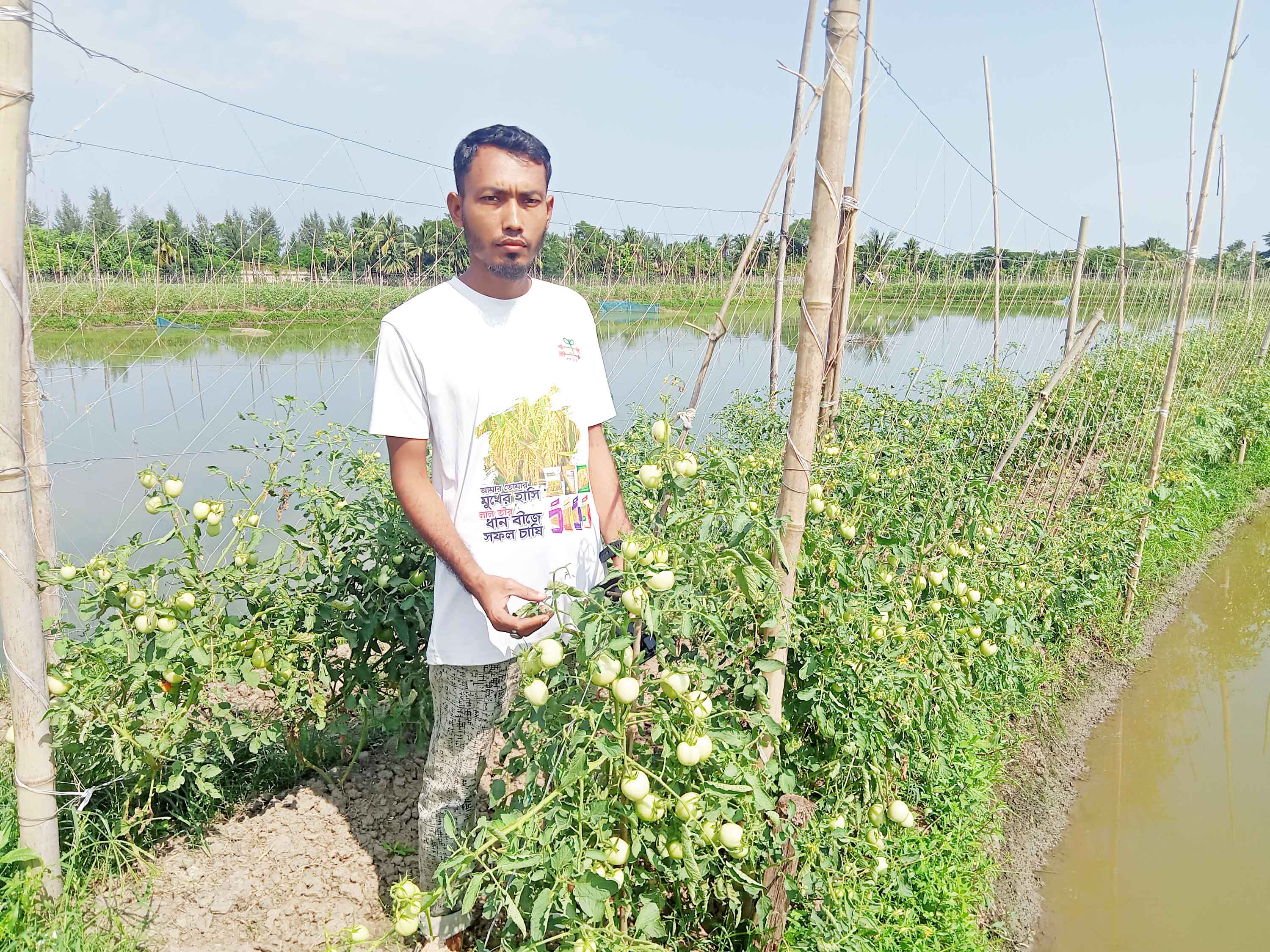 অধিক লাভের আশায় আগাম শীতকালীন সবজি চাষে আগ্রহ