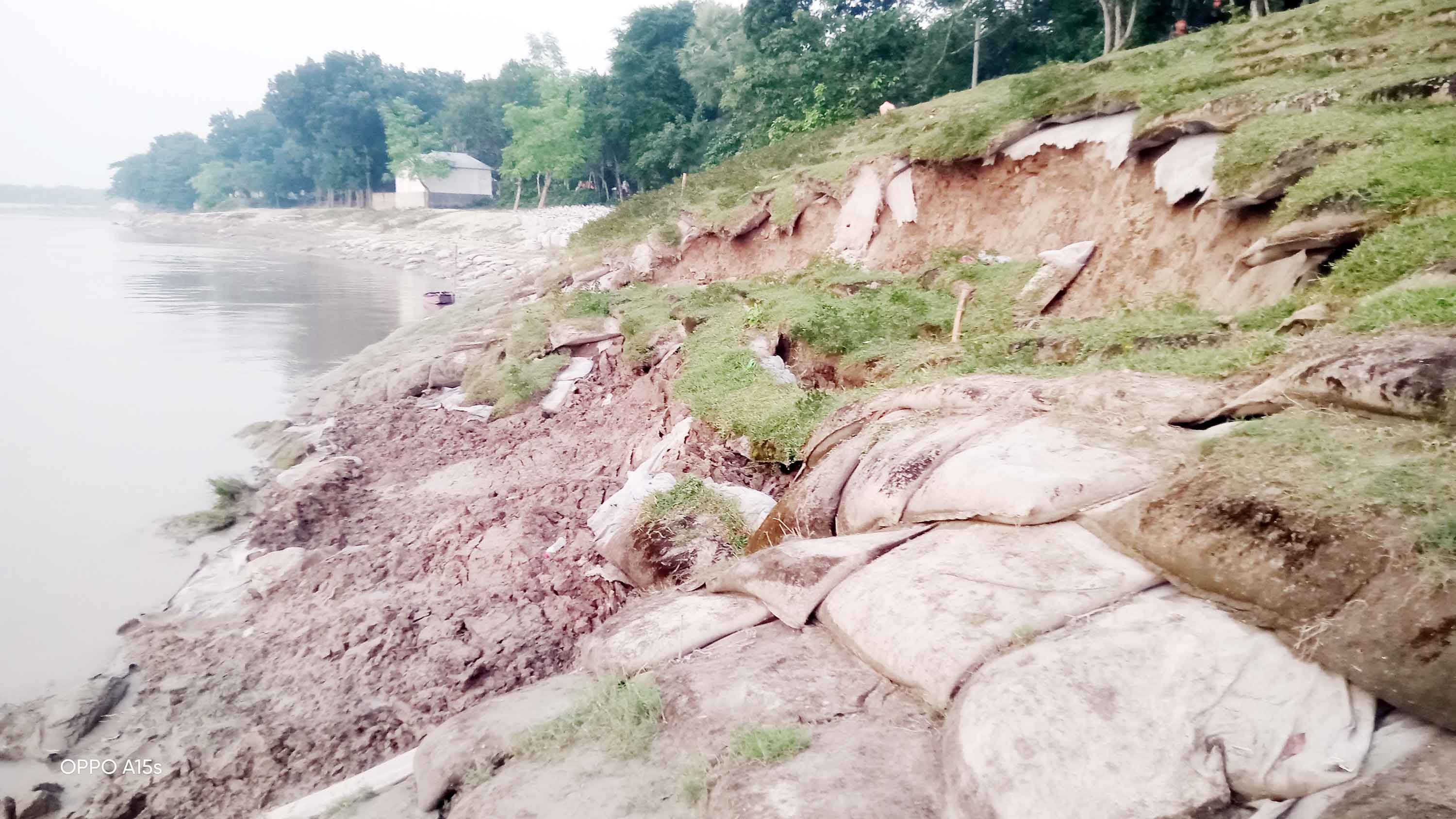মধুমতীর ভাঙনে বিলীন বসতবাড়ি-ফসলি জমি
