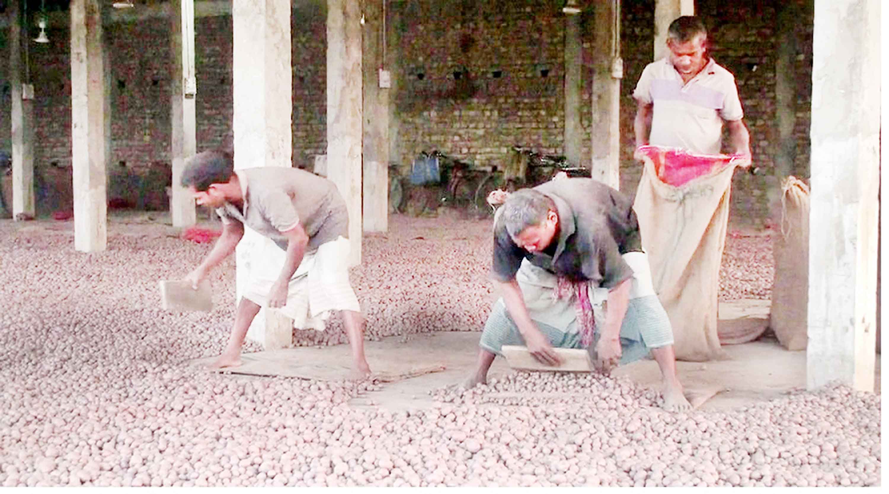 নীলফামারীতে আলুর বাজারে নৈরাজ্য বিপাকে ভোক্তারা