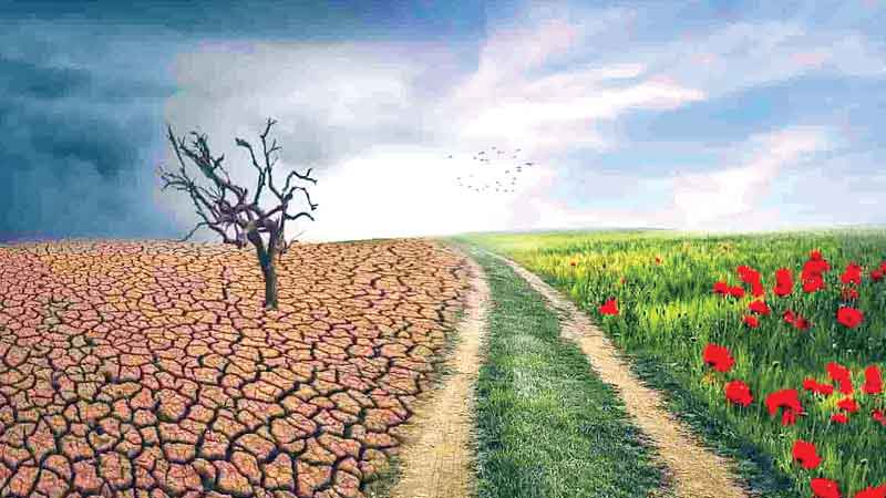 বৈশ্বিক উষ্ণতায় হুমকিতে পৃথিবী