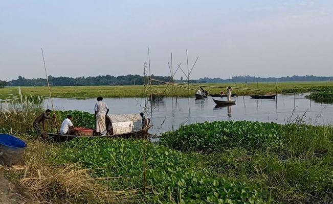 চাটমোহরে জলাশয়ে জোরপূর্বক মাছ ধরার অভিযোগ