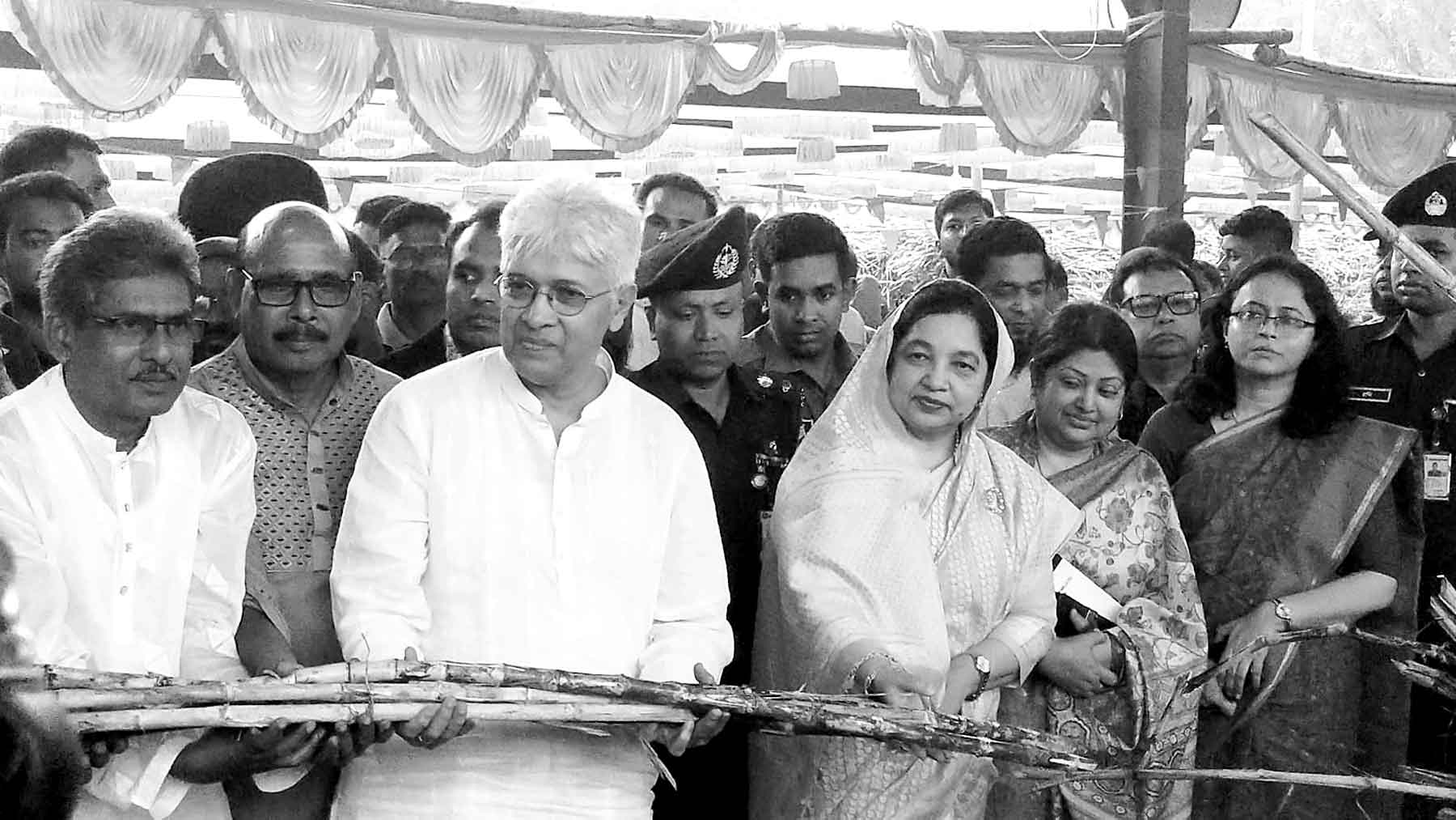 নাটোরে নর্থ বেঙ্গল সুগার মিলে আখ মাড়াই শুরু