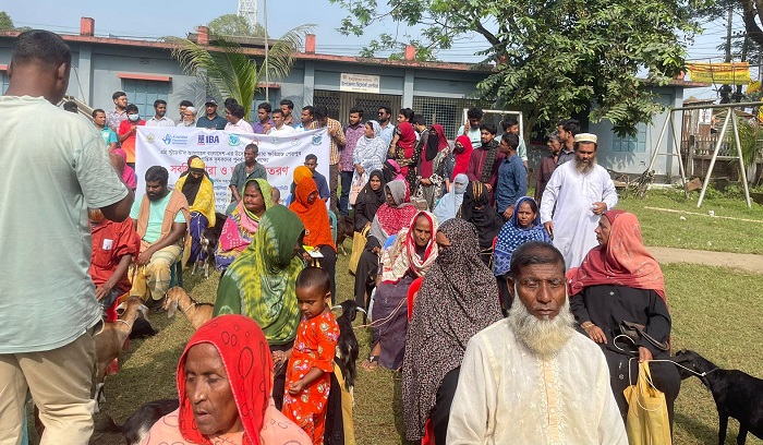 শেরপুরে বন্যায় ক্ষতিগ্রস্ত ৯৩ পরিবারকে ছাগলসহ সবজি চারা বিতরণ