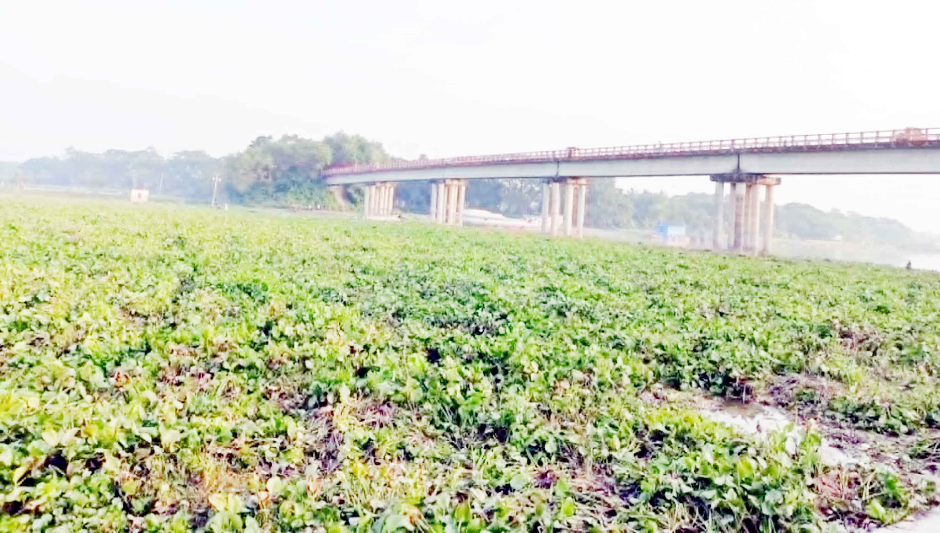 ১৫ দিন ধরে গোপালগঞ্জের সঙ্গে ৫ জেলার নৌ চলাচল বন্ধ